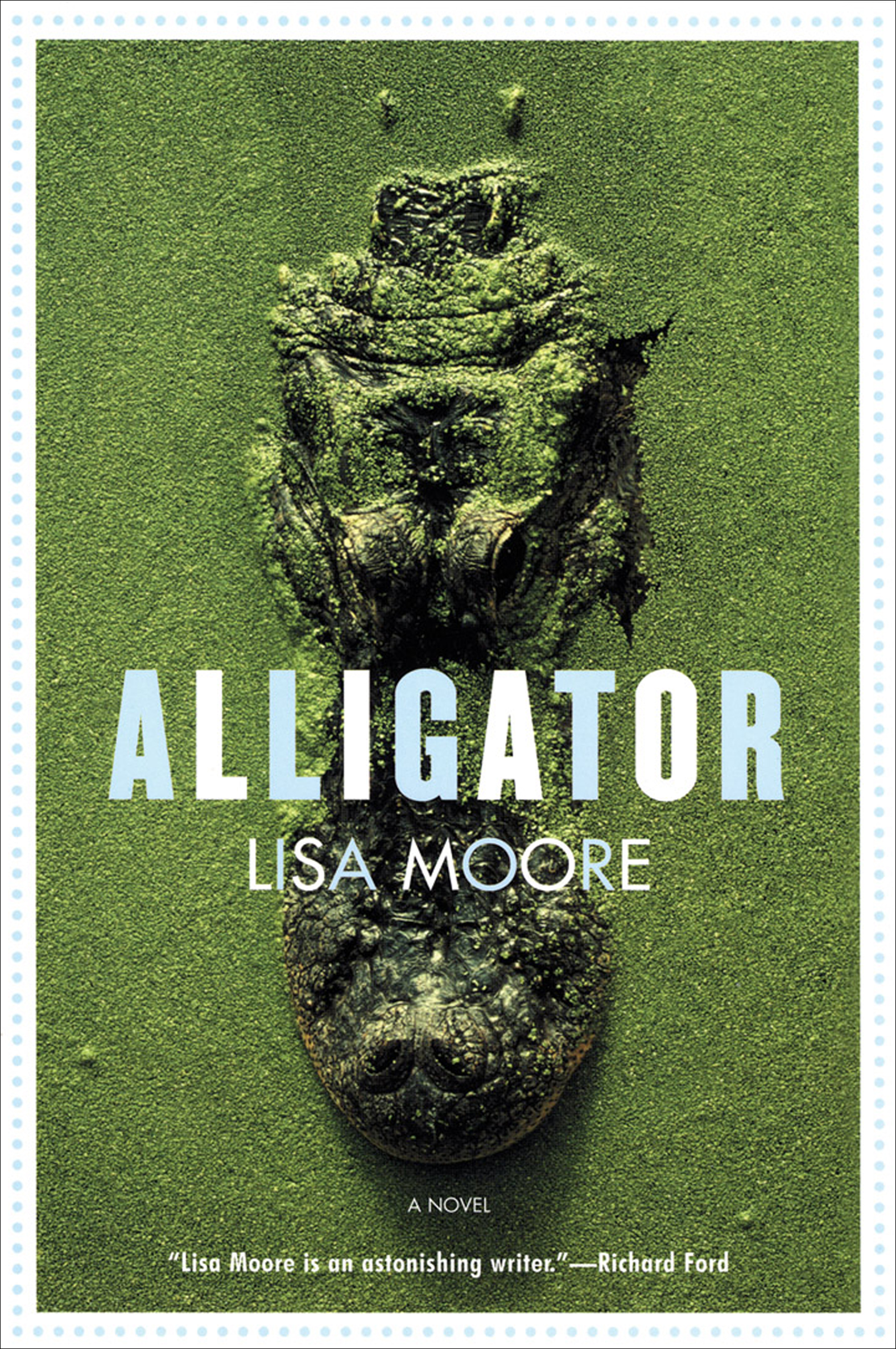 This image is the cover for the book Alligator