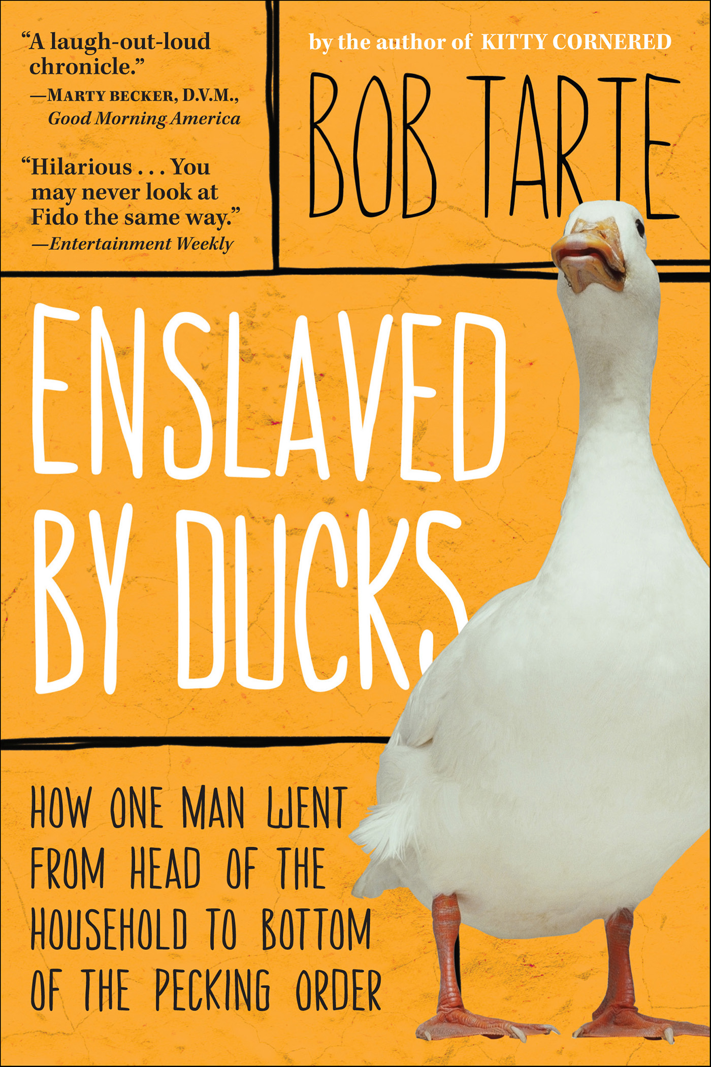 This image is the cover for the book Enslaved by Ducks