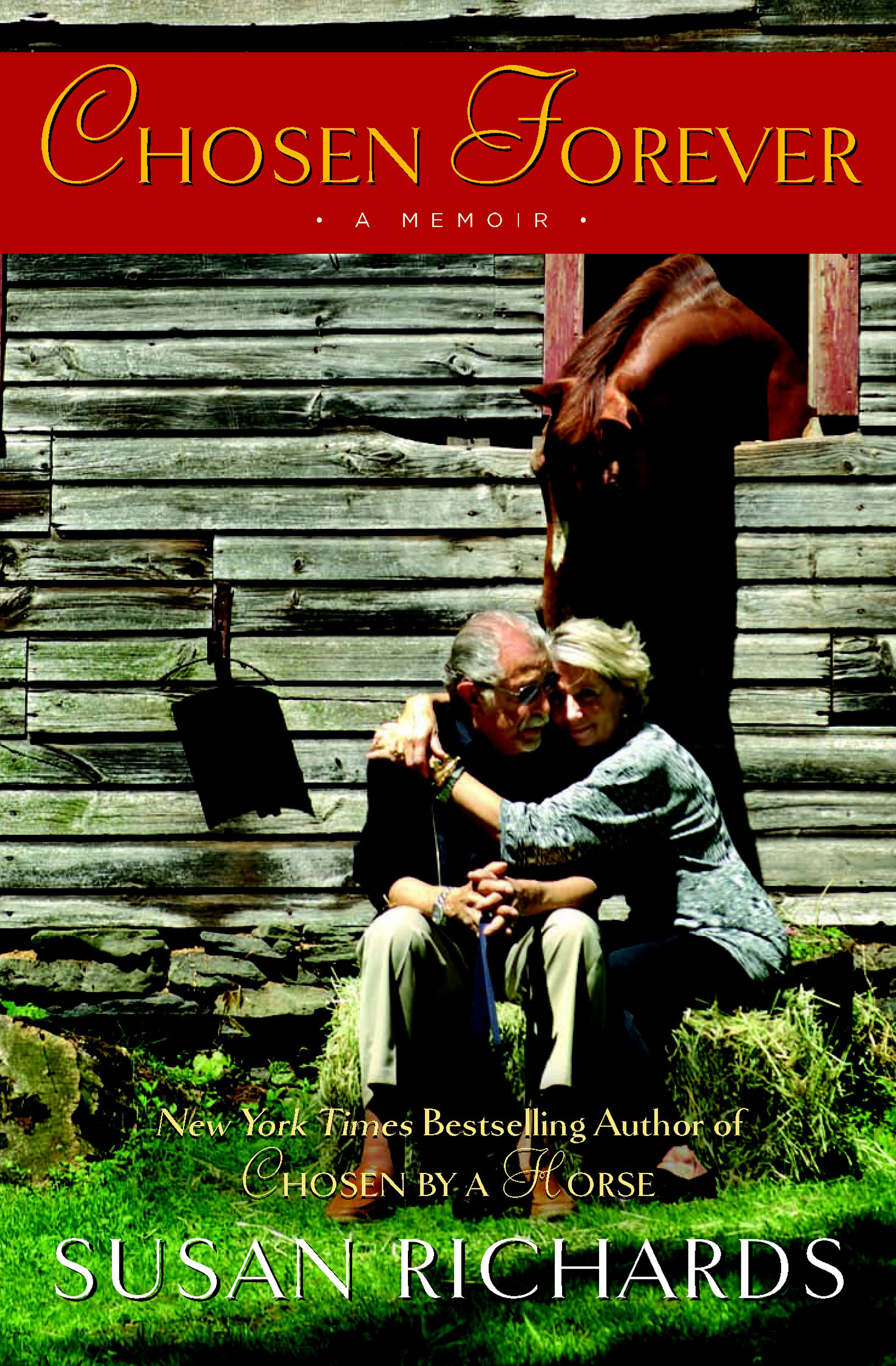 This image is the cover for the book Chosen Forever