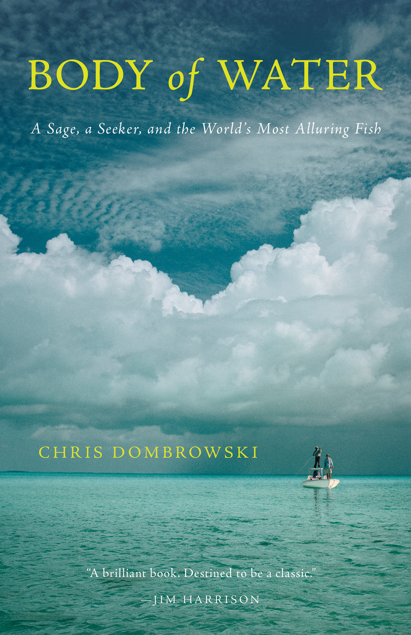 This image is the cover for the book Body of Water