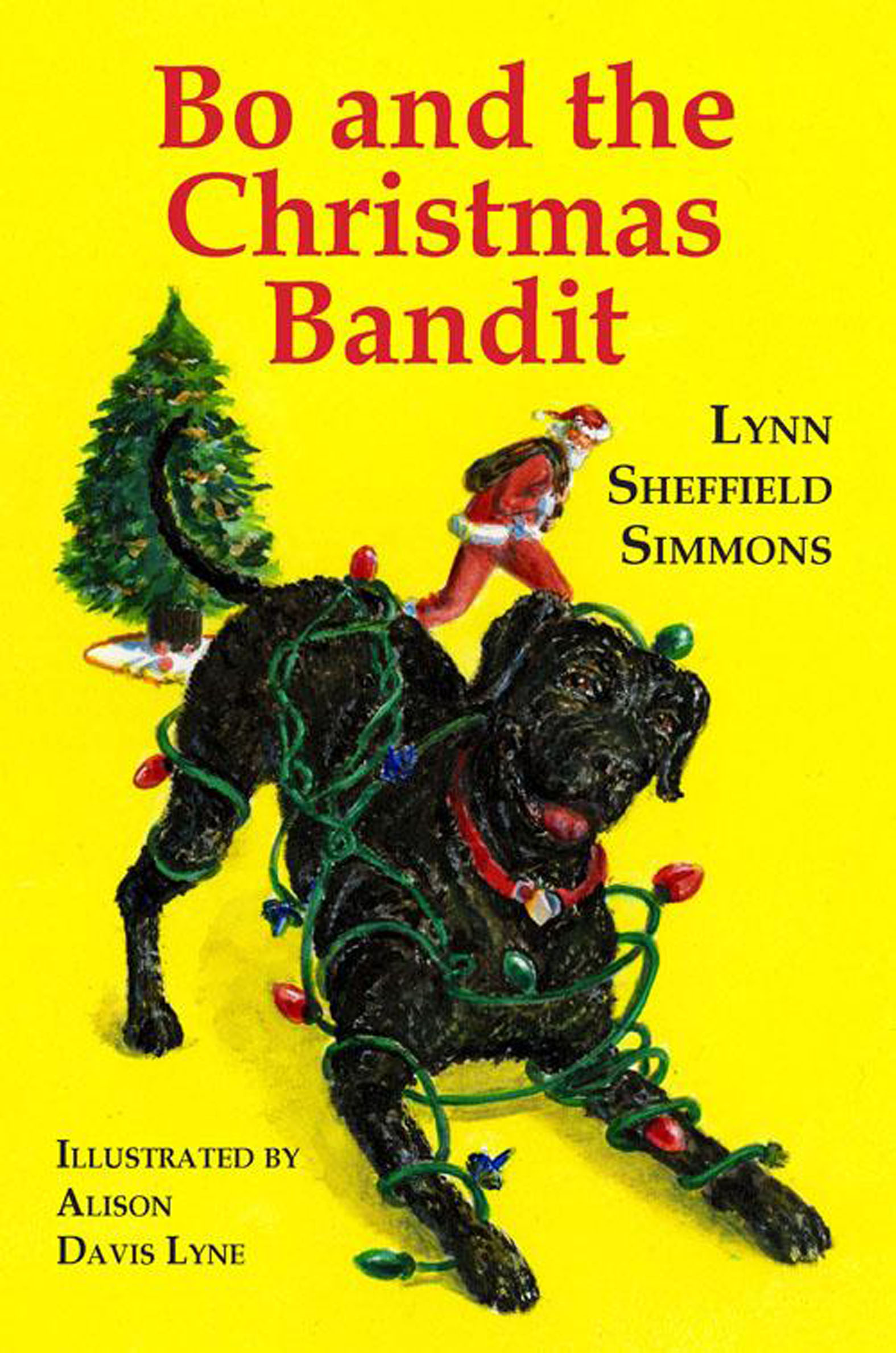 This image is the cover for the book Bo and the Christmas Bandit, The Bo Series