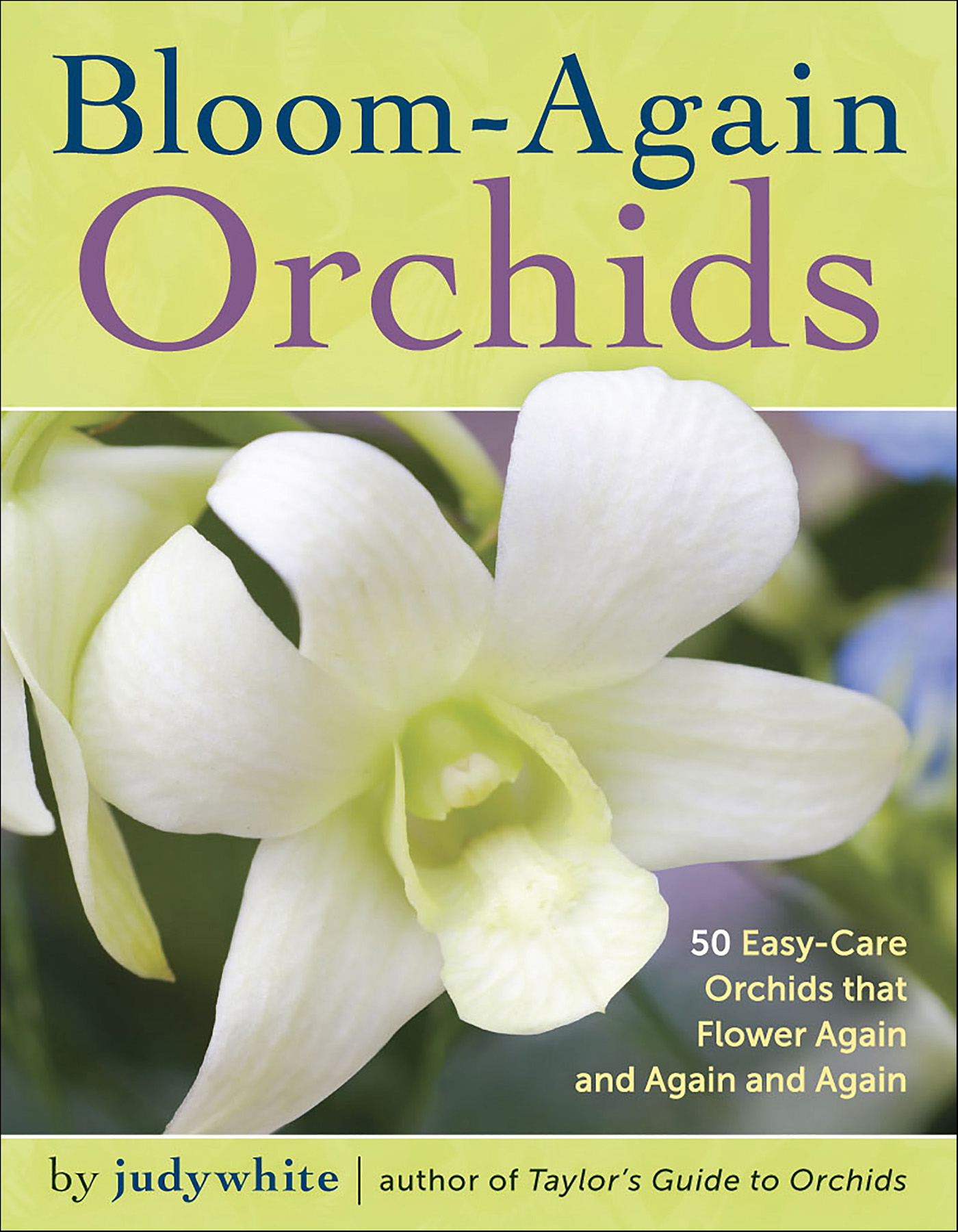 This image is the cover for the book Bloom-Again Orchids