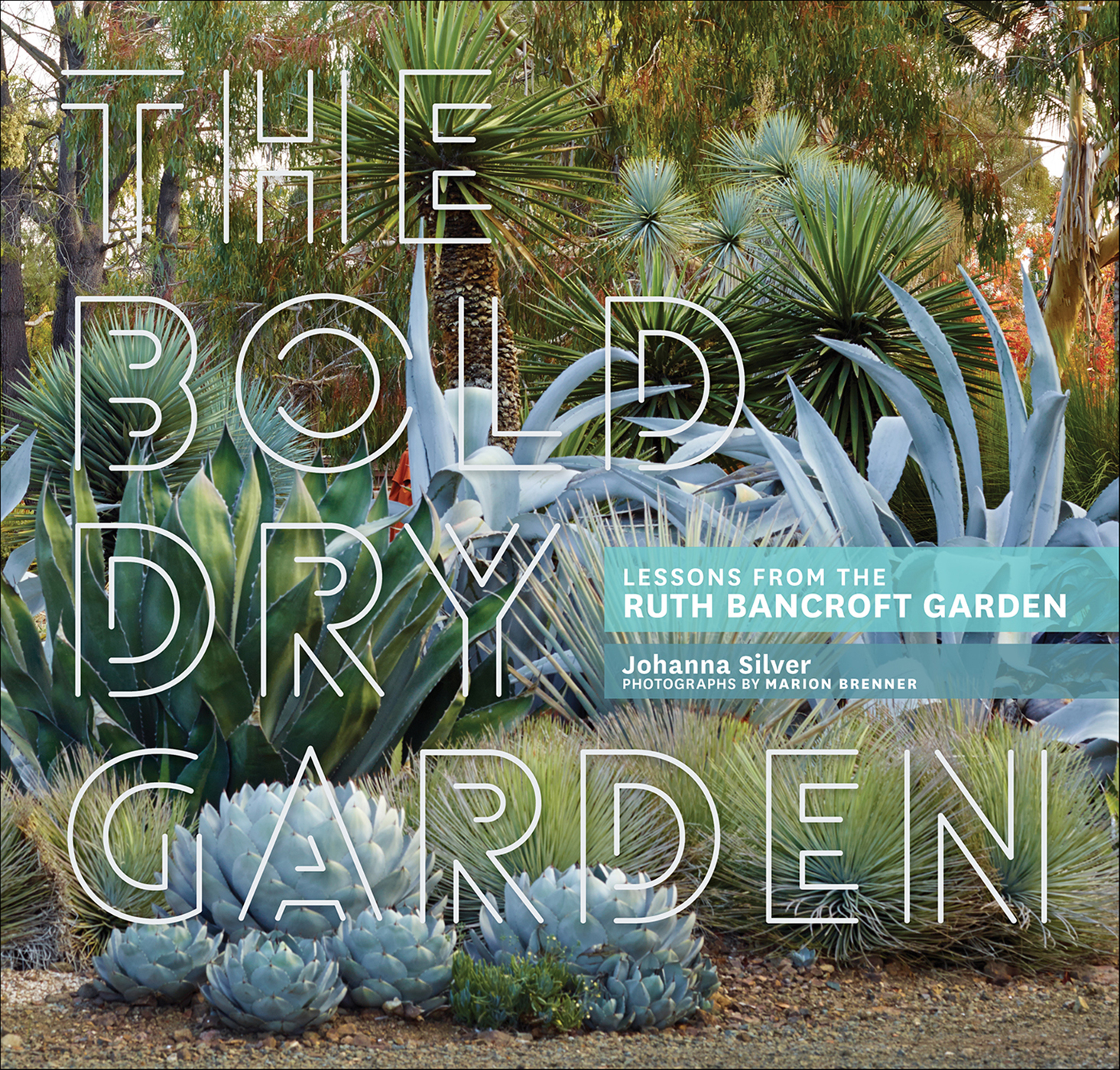 This image is the cover for the book Bold Dry Garden