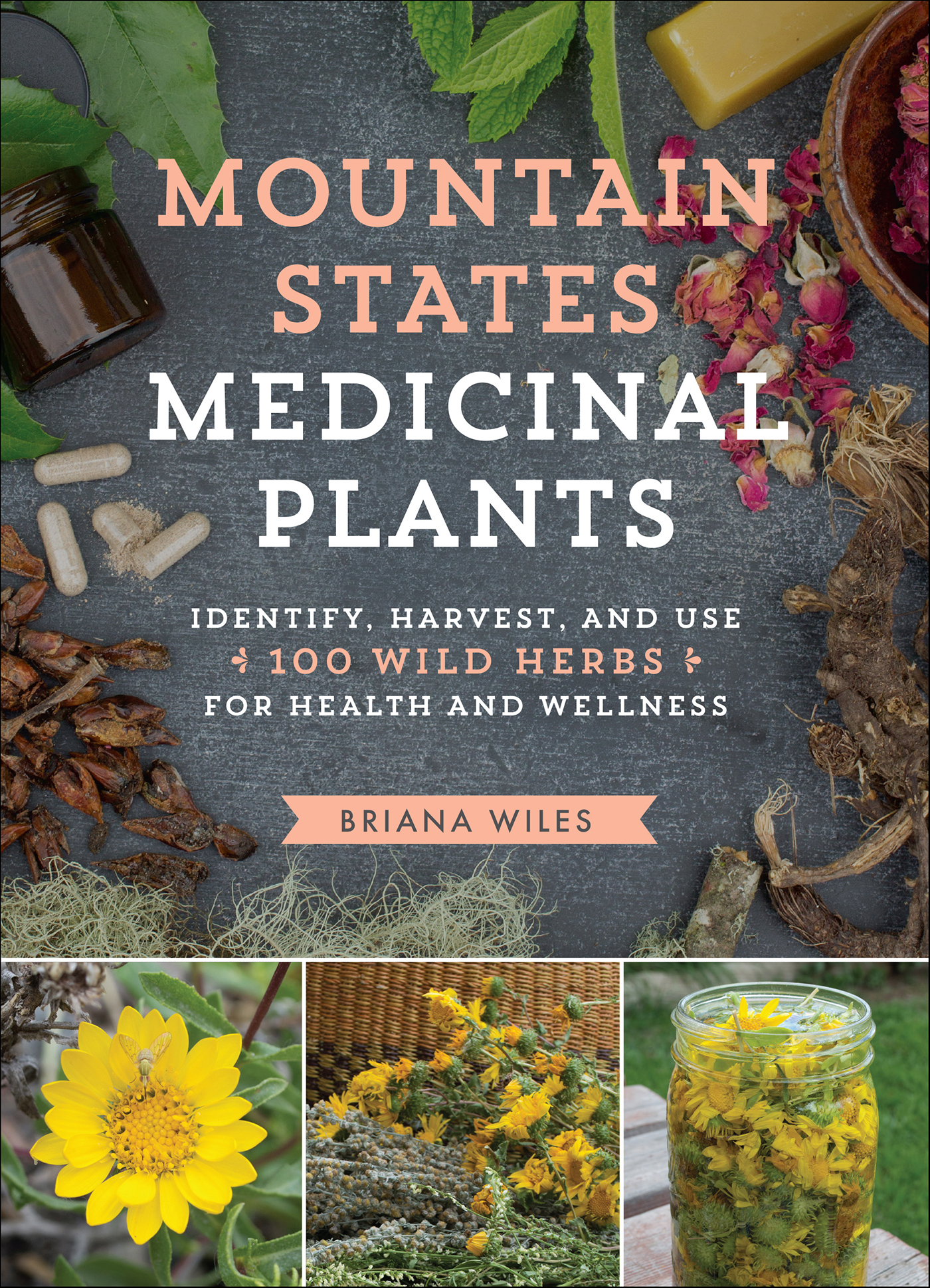 This image is the cover for the book Mountain States Medicinal Plants