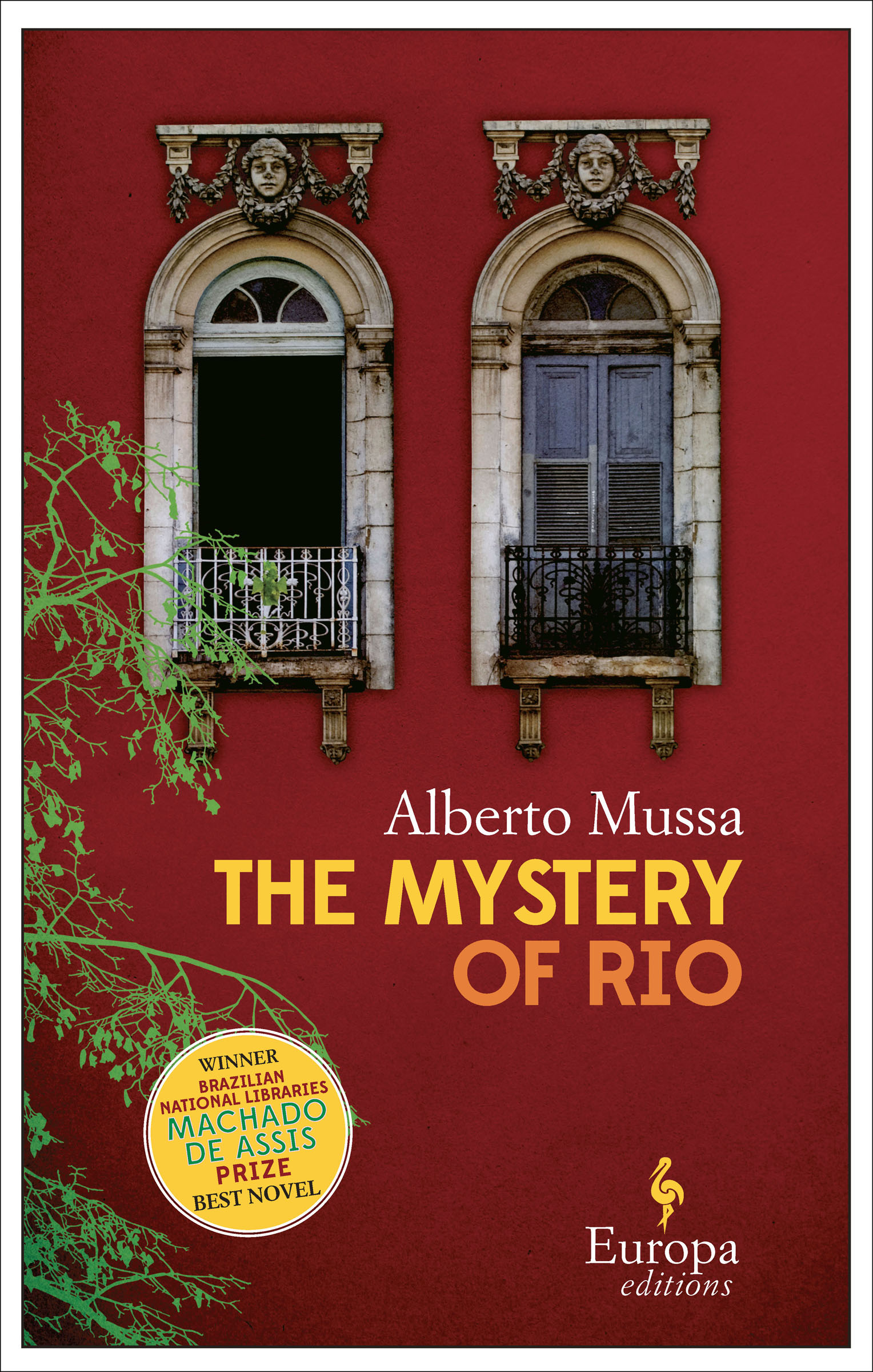 This image is the cover for the book Mystery of Rio