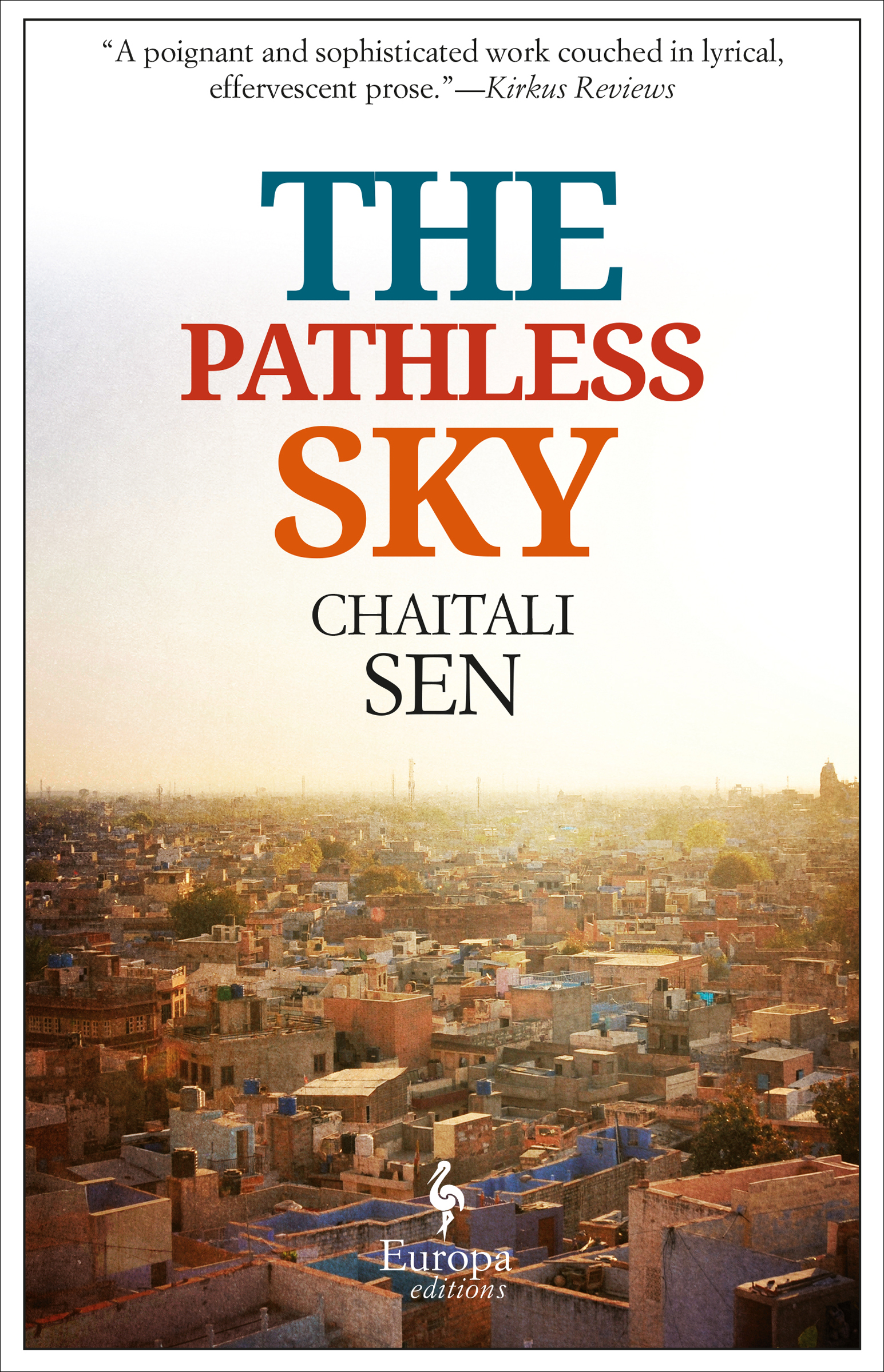This image is the cover for the book Pathless Sky