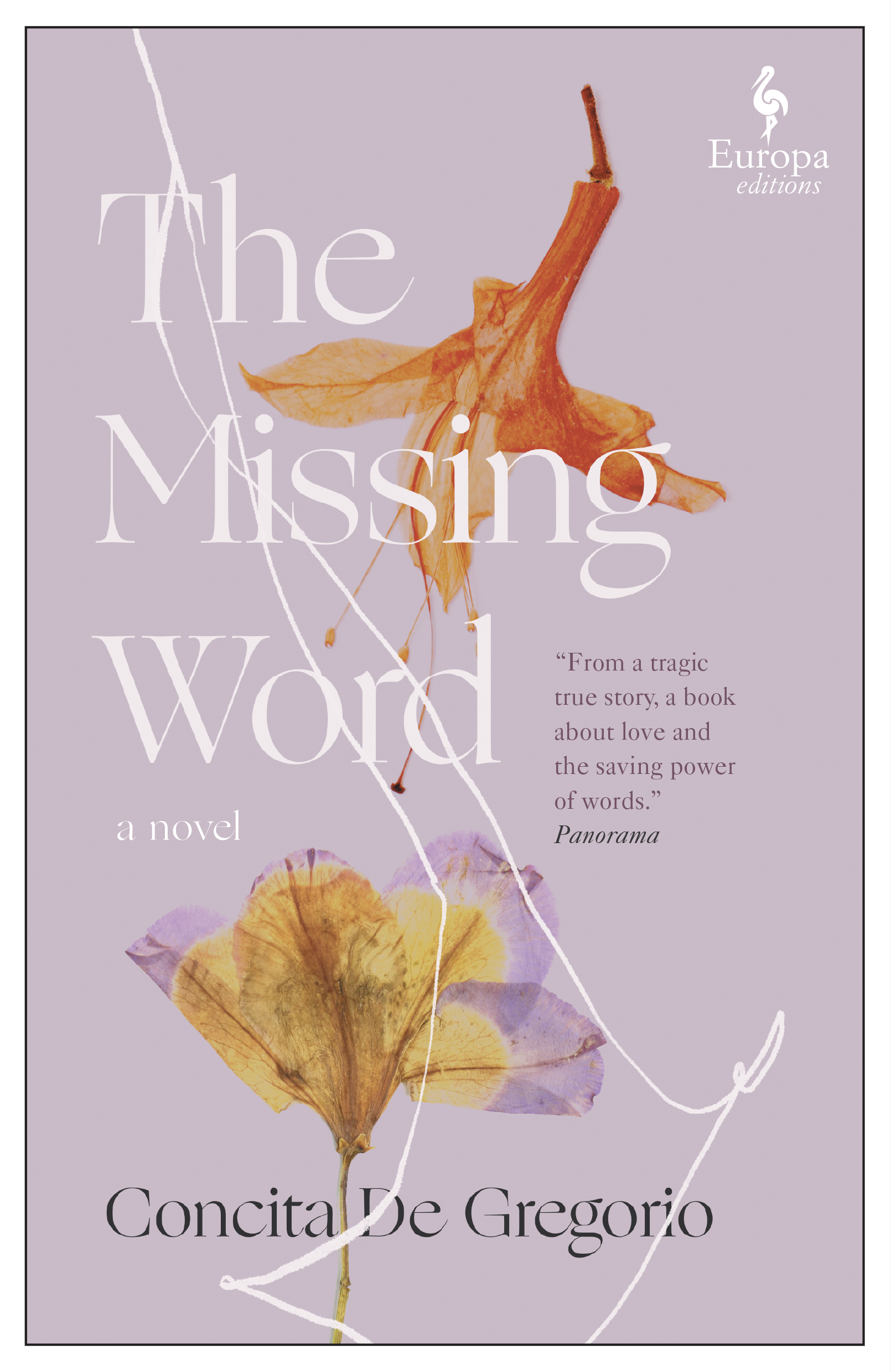 This image is the cover for the book Missing Word