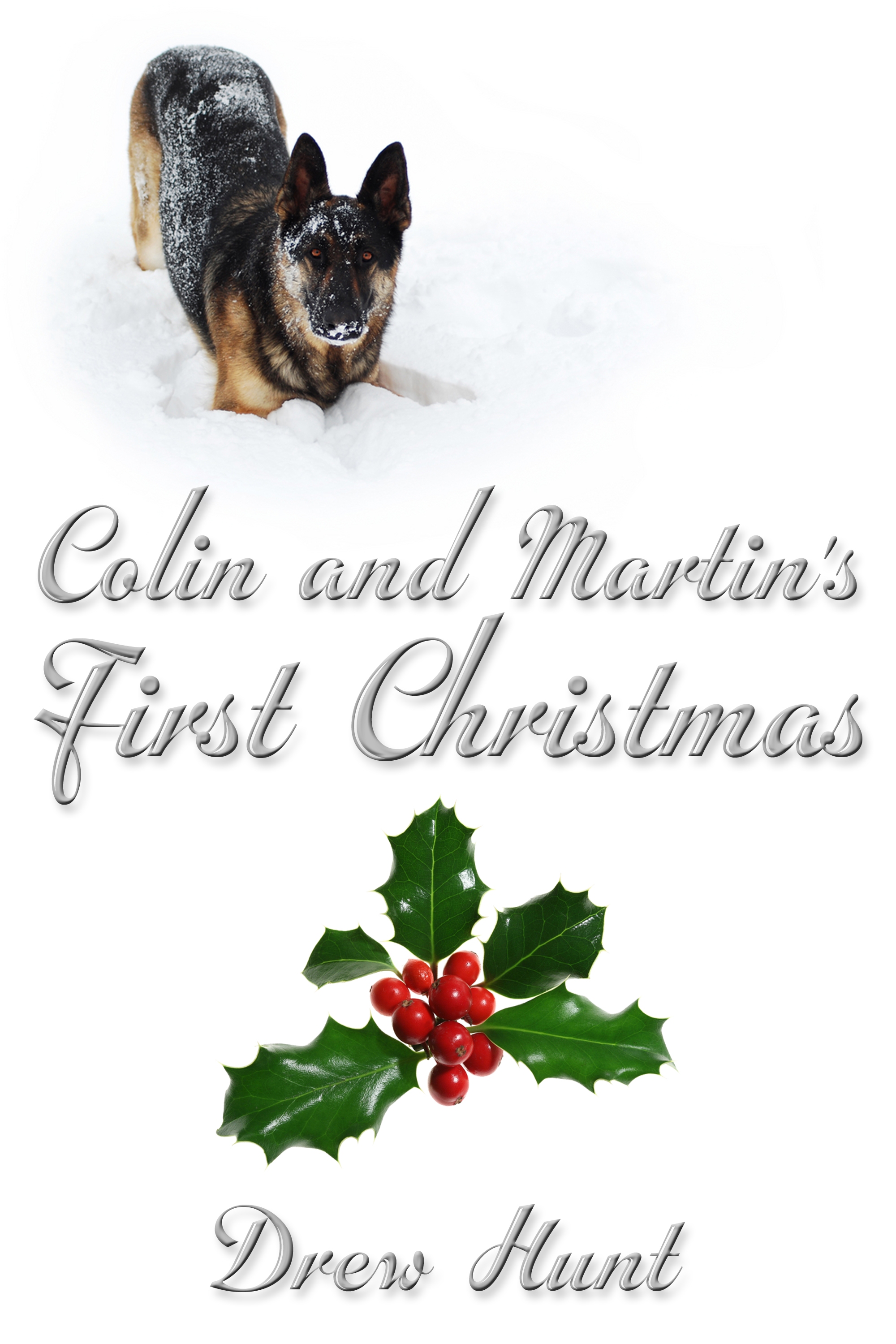 This image is the cover for the book Colin and Martin's First Christmas, Colin and Martin