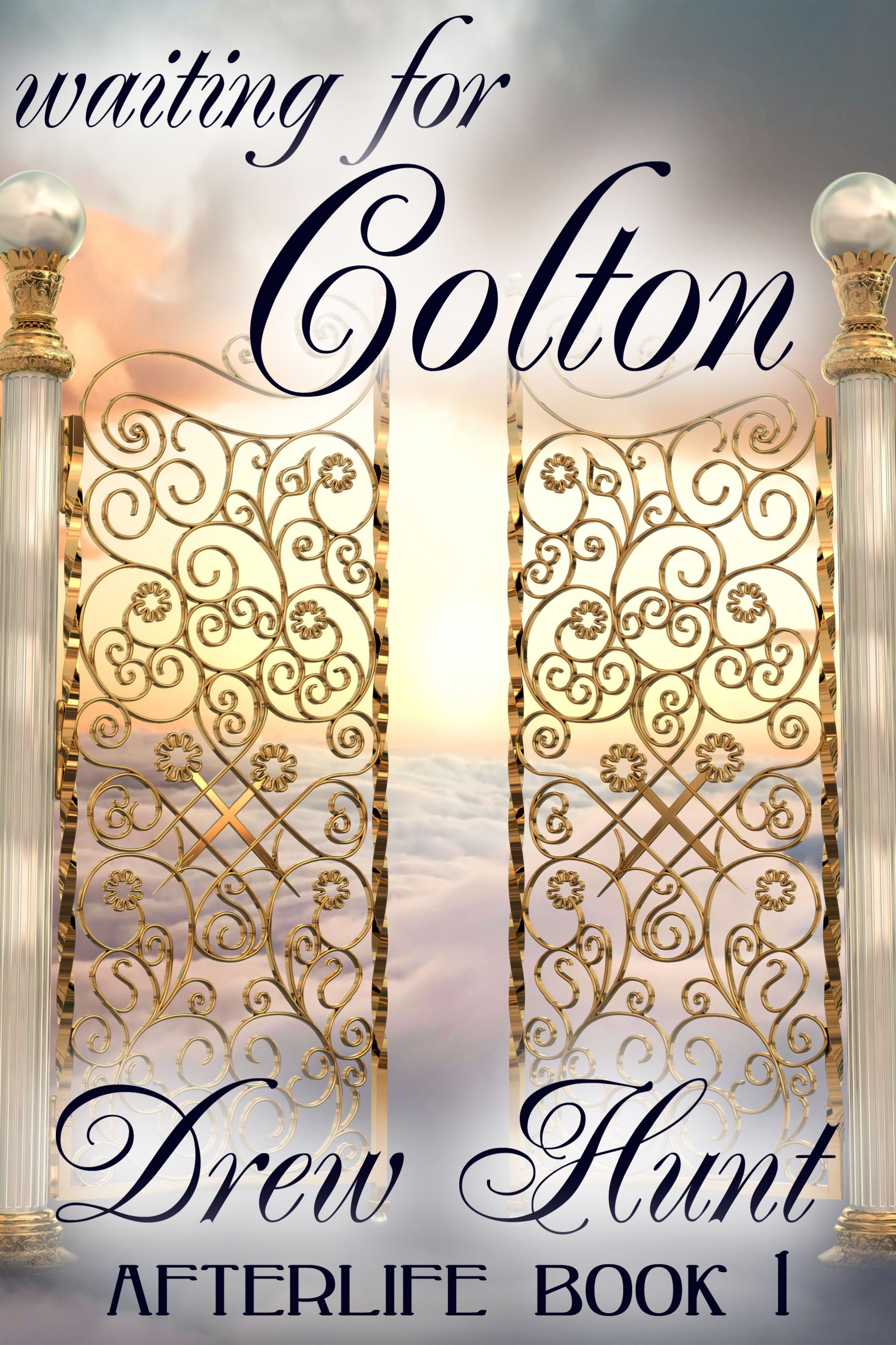 This image is the cover for the book Waiting for Colton, Afterlife