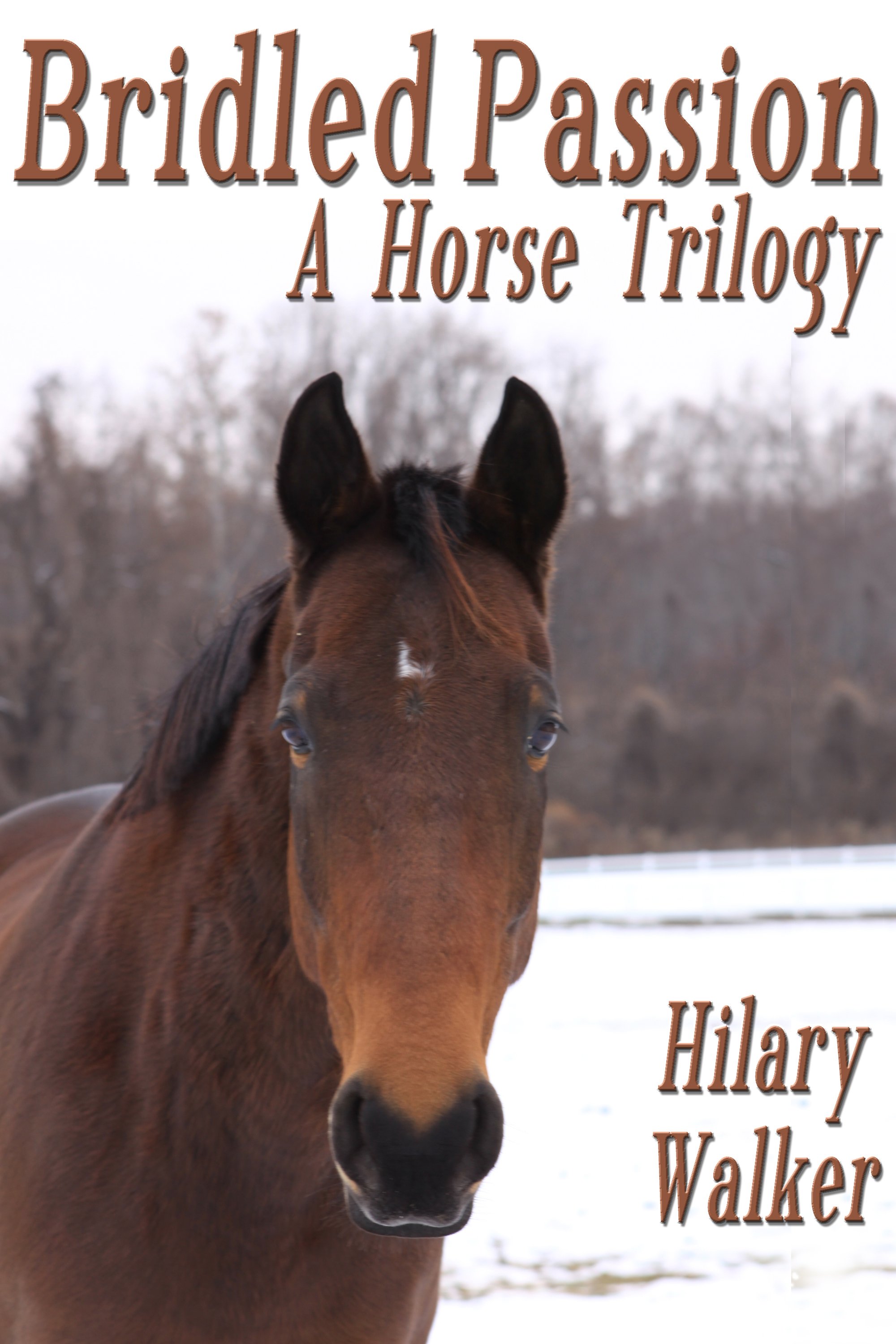 This image is the cover for the book Bridled Passion: A Horse Trilogy