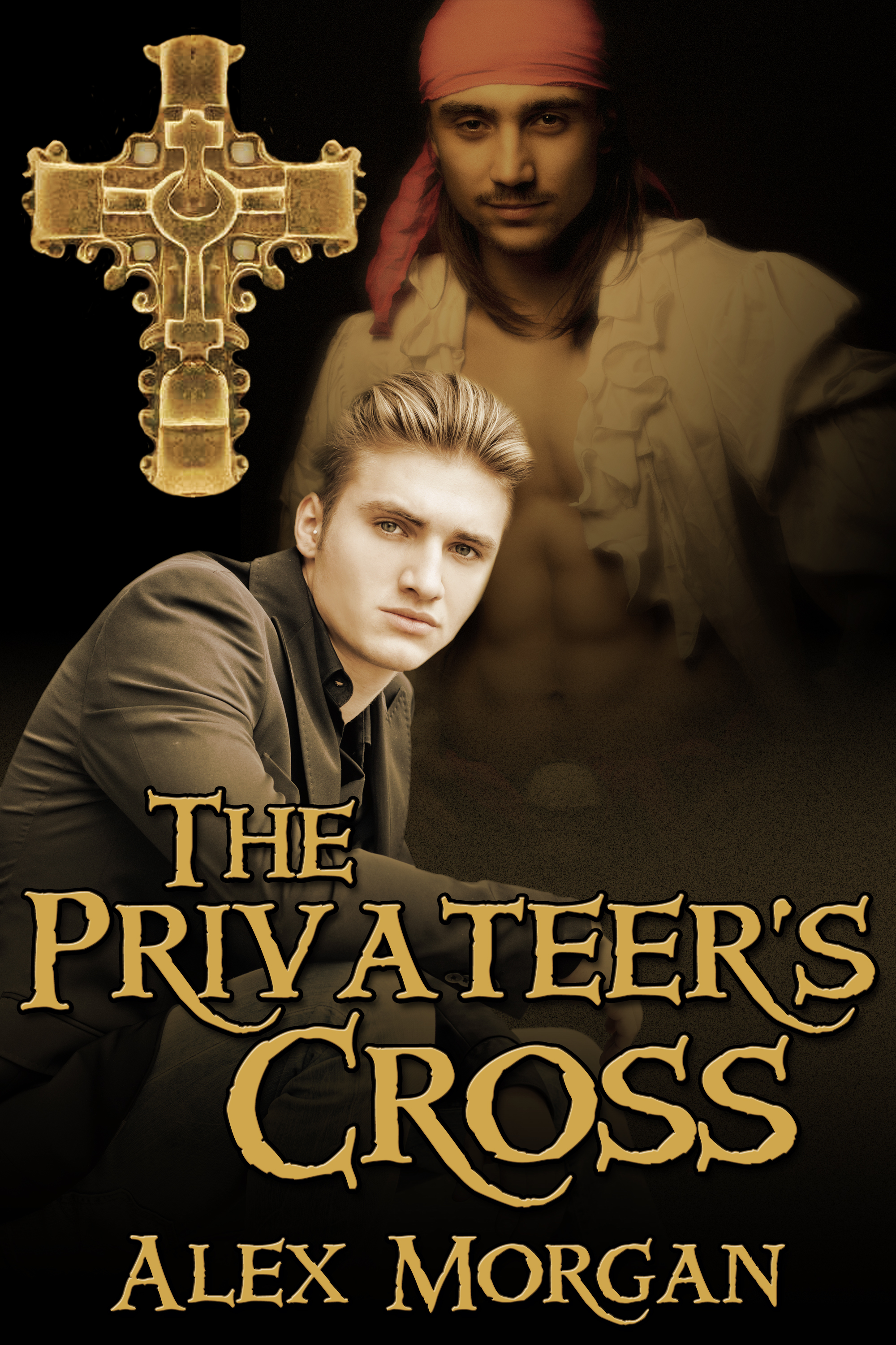This image is the cover for the book The Privateer's Cross