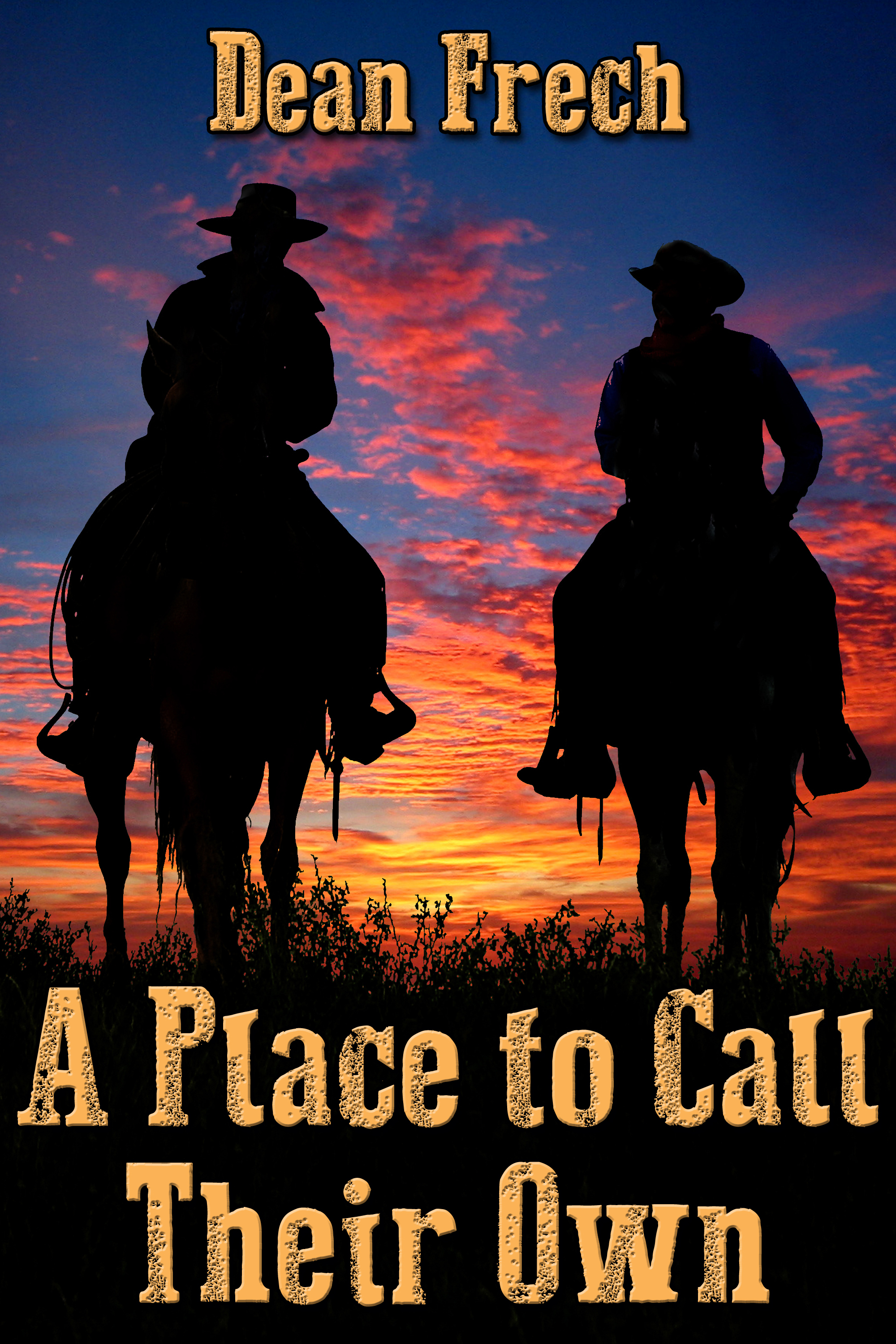 This image is the cover for the book A Place to Call Their Own