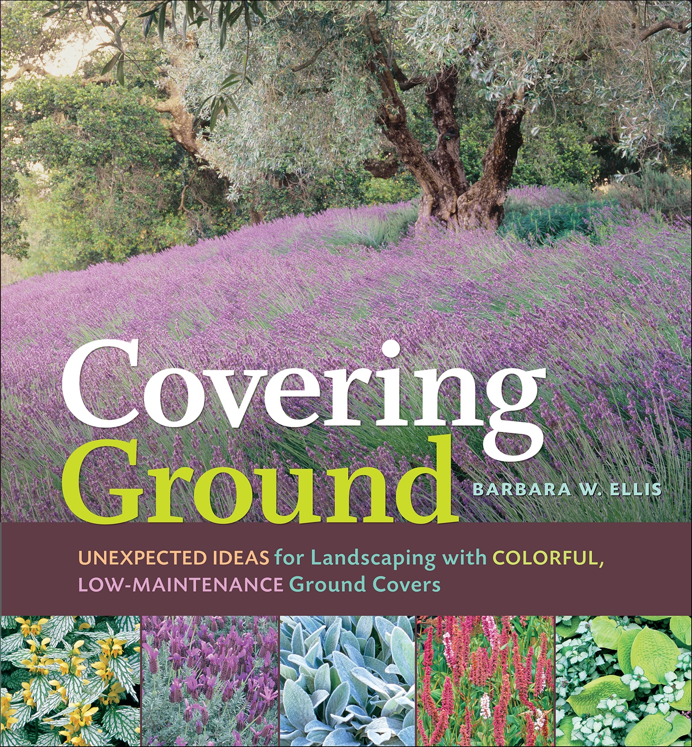 This image is the cover for the book Covering Ground
