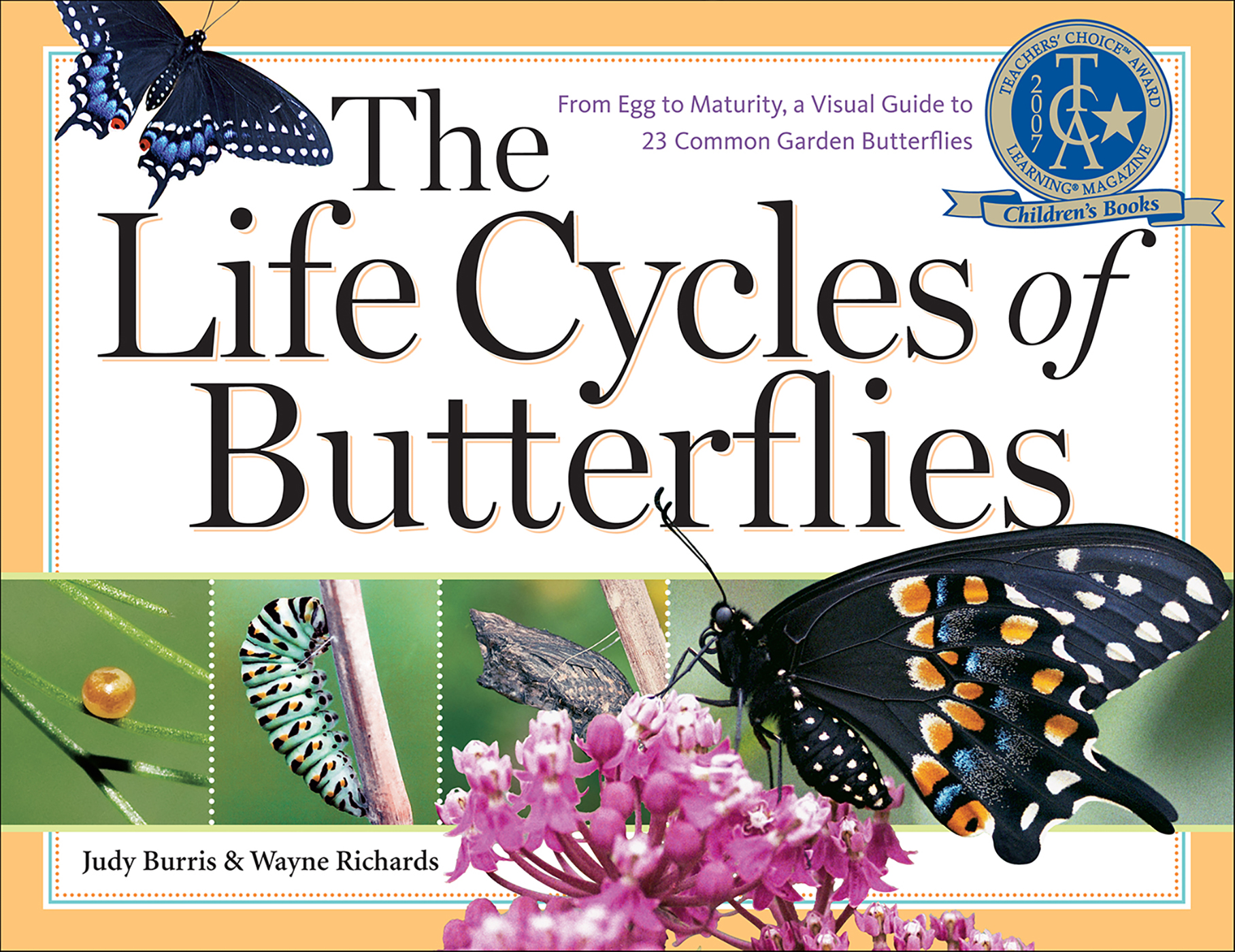 This image is the cover for the book Life Cycles of Butterflies