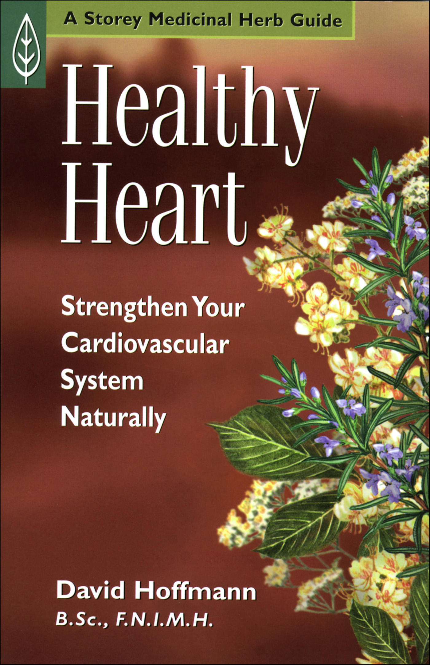 This image is the cover for the book Healthy Heart