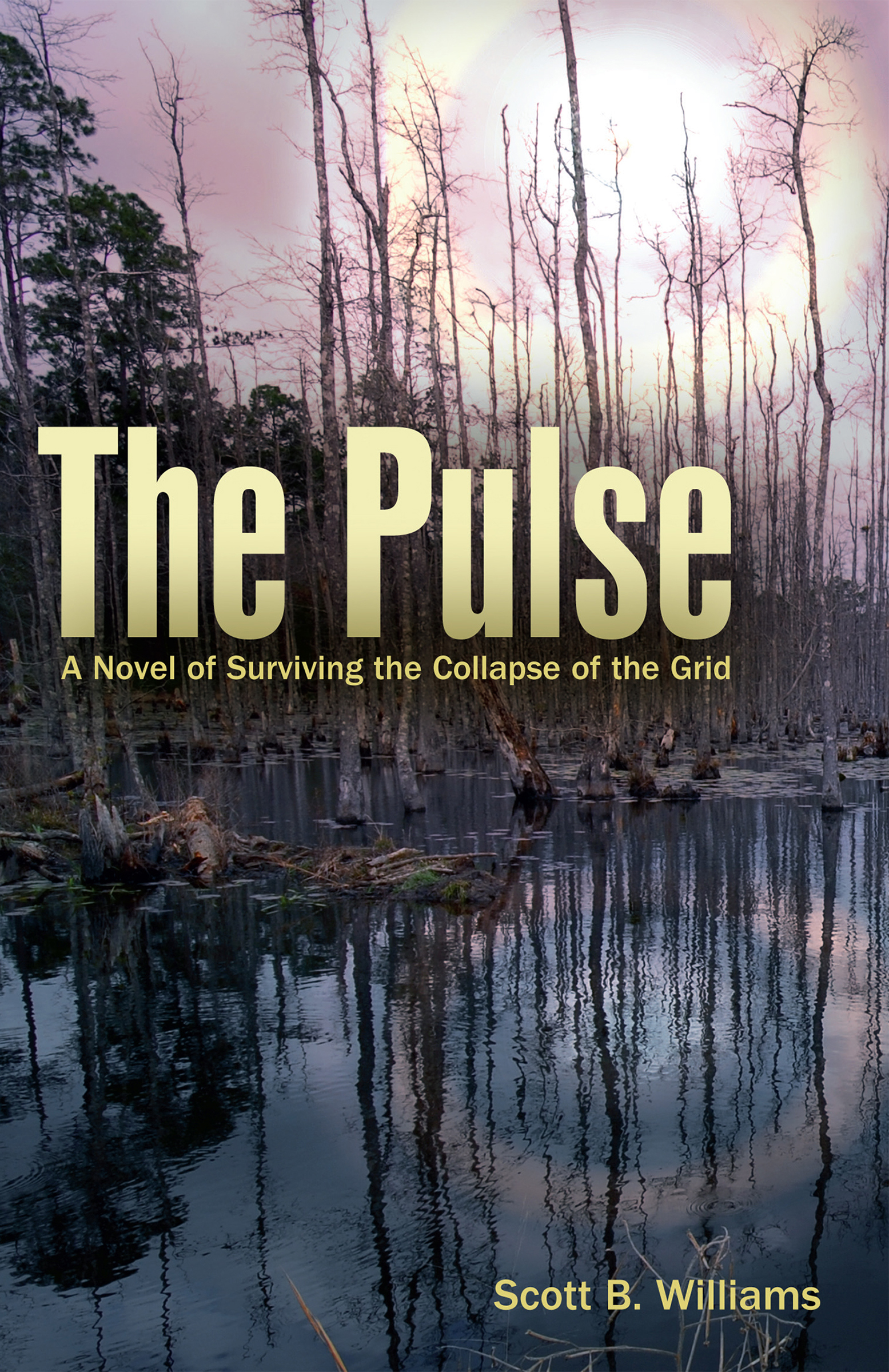 This image is the cover for the book Pulse, The Pulse Series