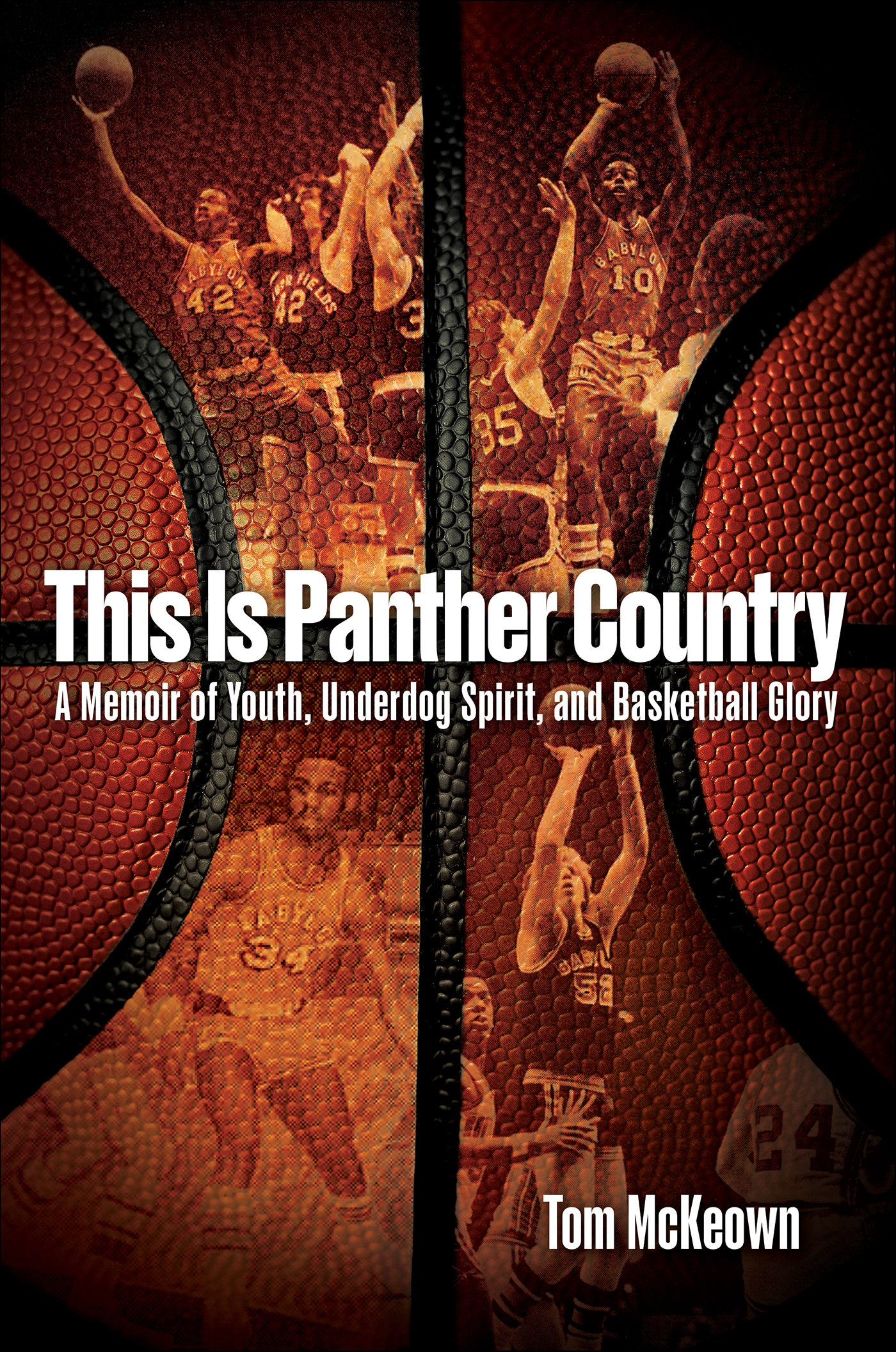 This image is the cover for the book This Is Panther Country