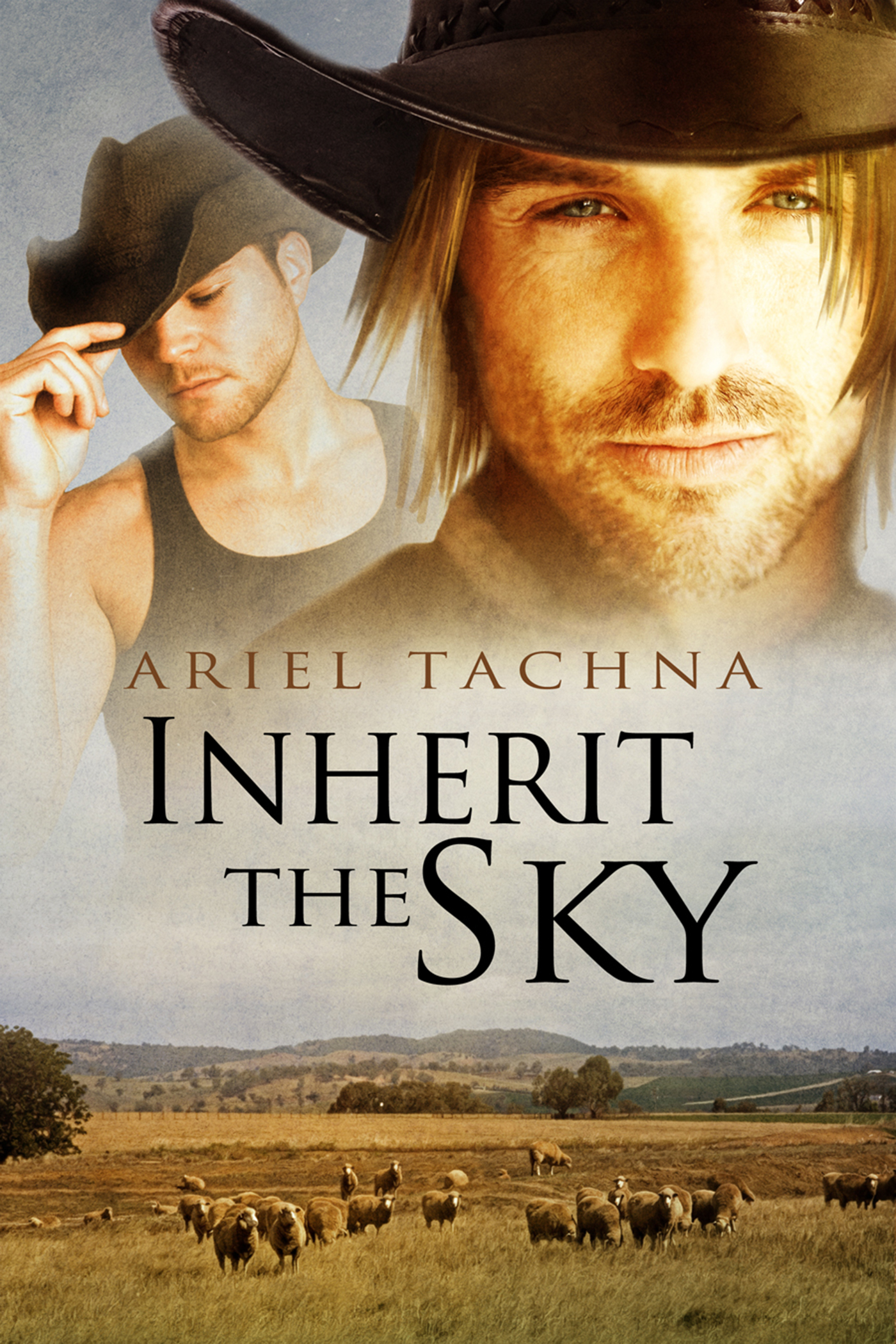 This image is the cover for the book Inherit the Sky, Lang Downs