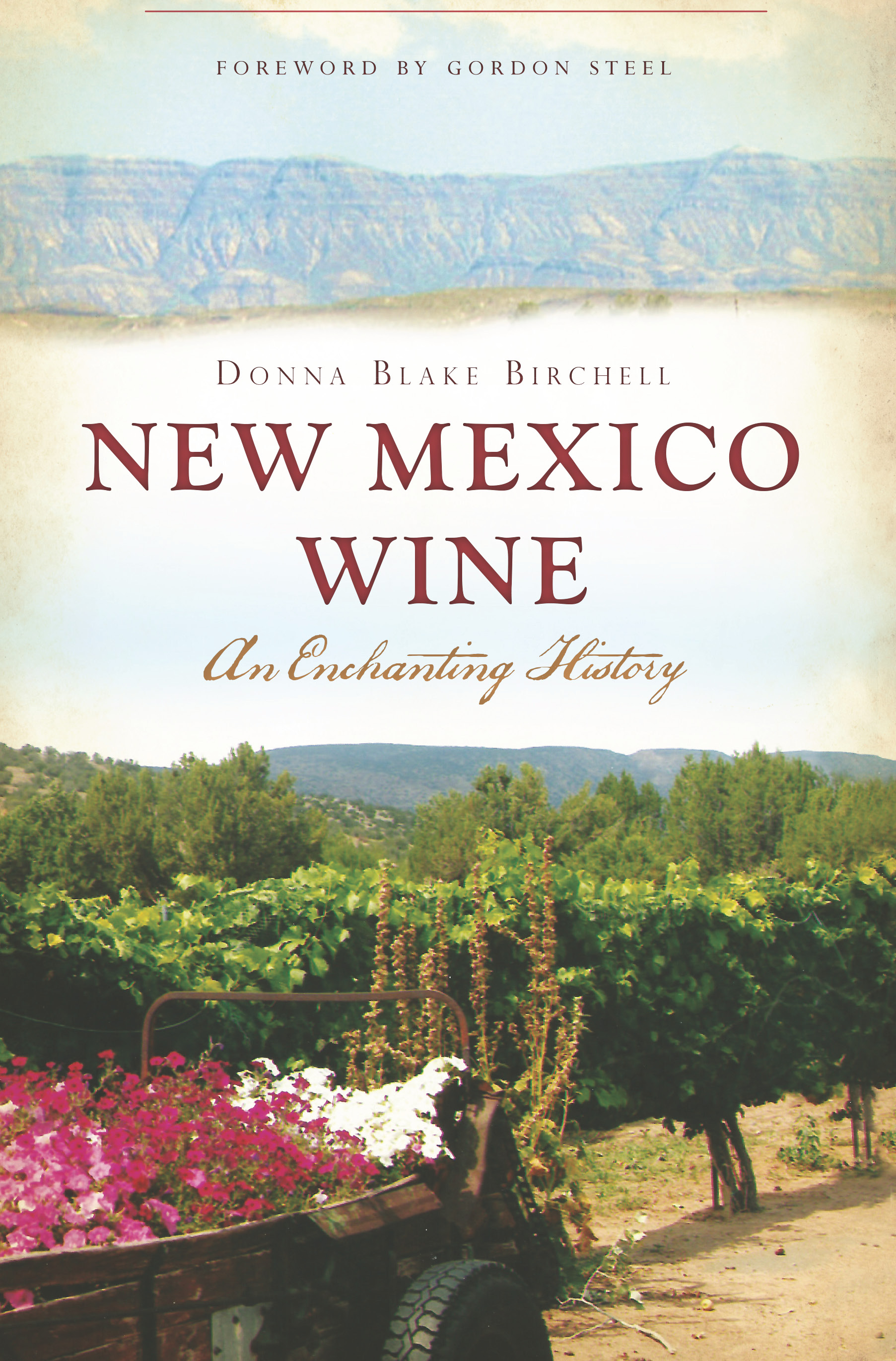 This image is the cover for the book New Mexico Wine, American Palate