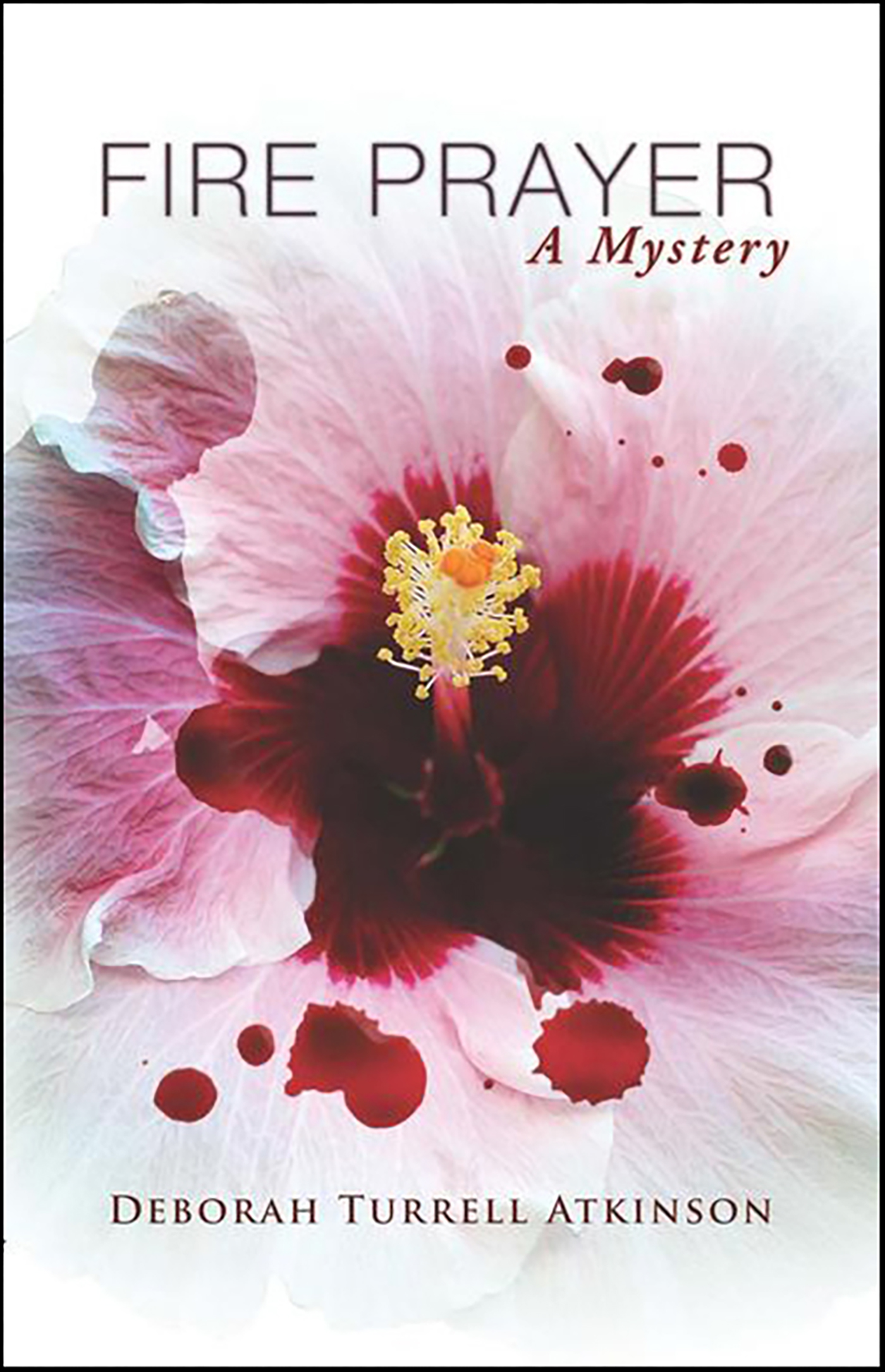 This image is the cover for the book Fire Prayer, Storm Kayama Series