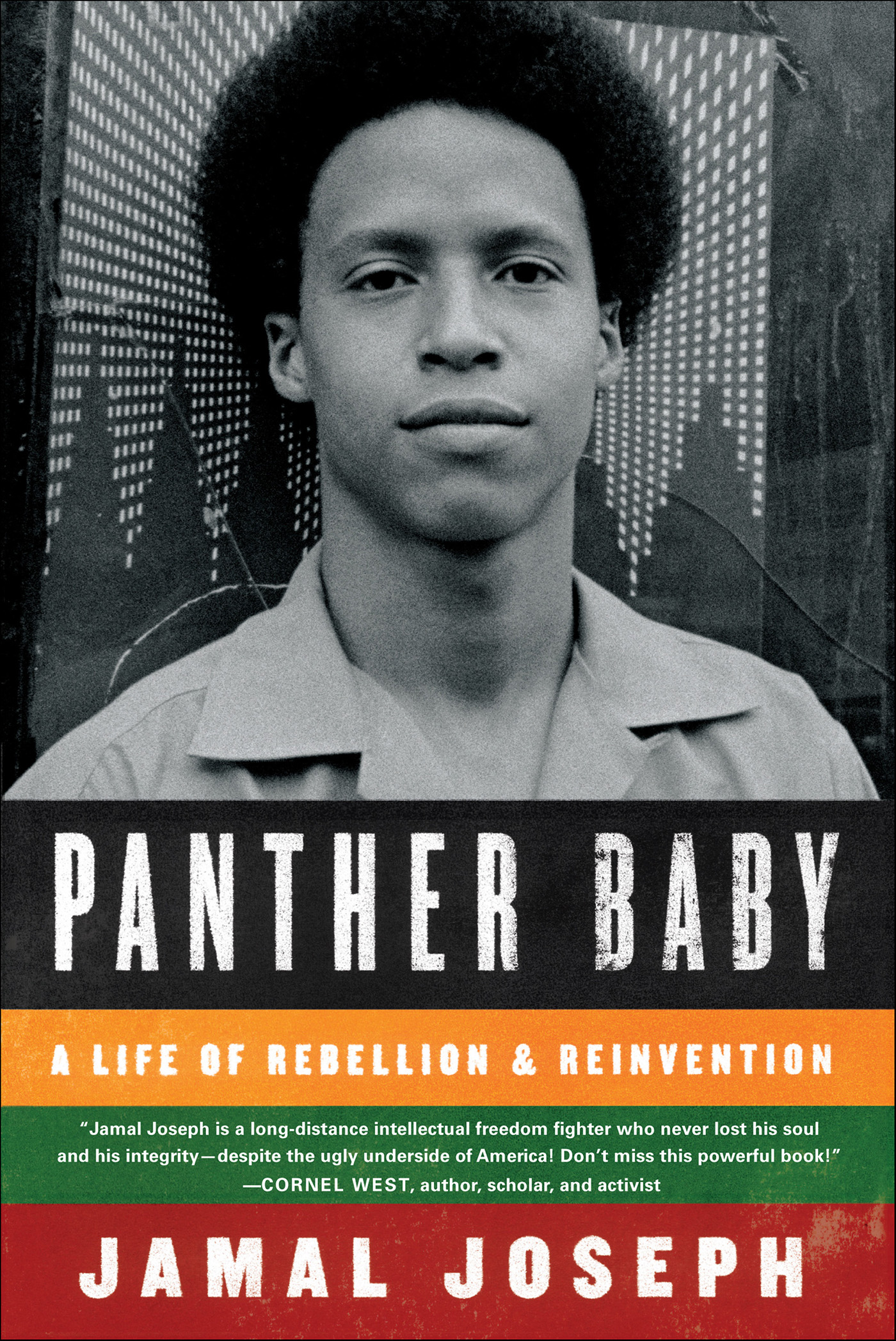 This image is the cover for the book Panther Baby