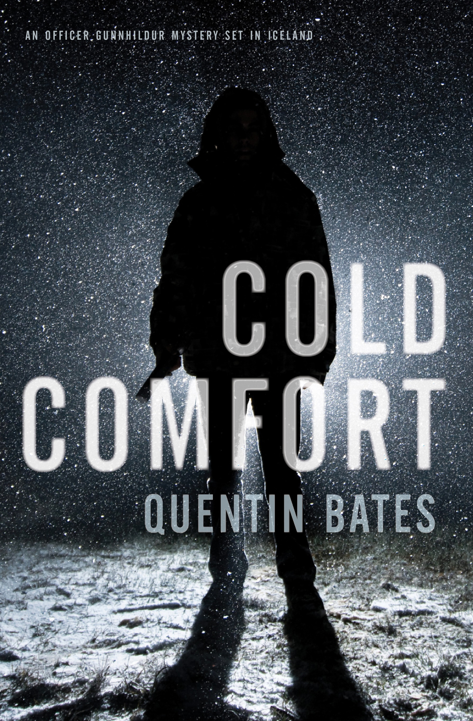 This image is the cover for the book Cold Comfort, The Officer Gunnhildur Mysteries