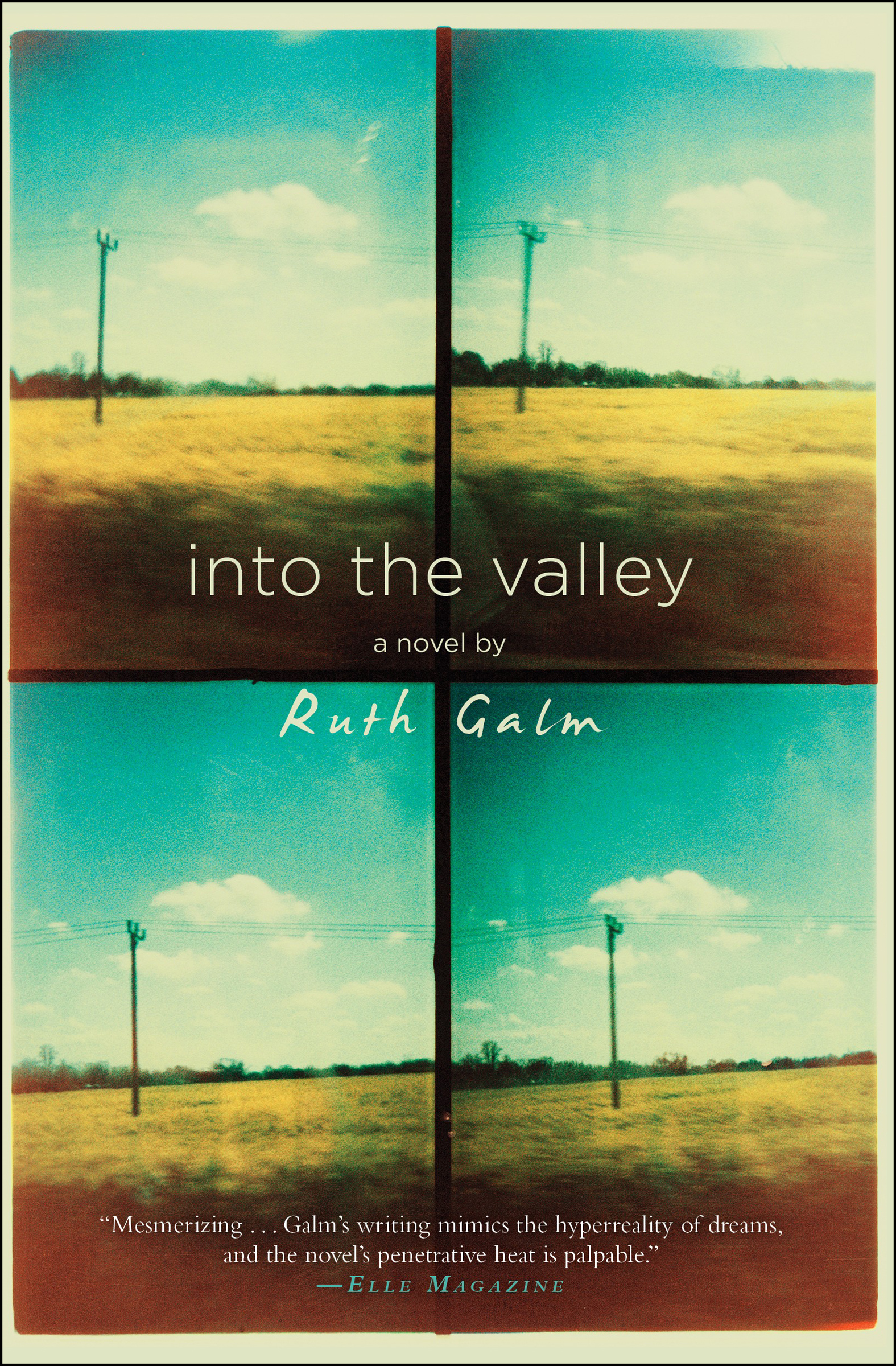 This image is the cover for the book Into the Valley
