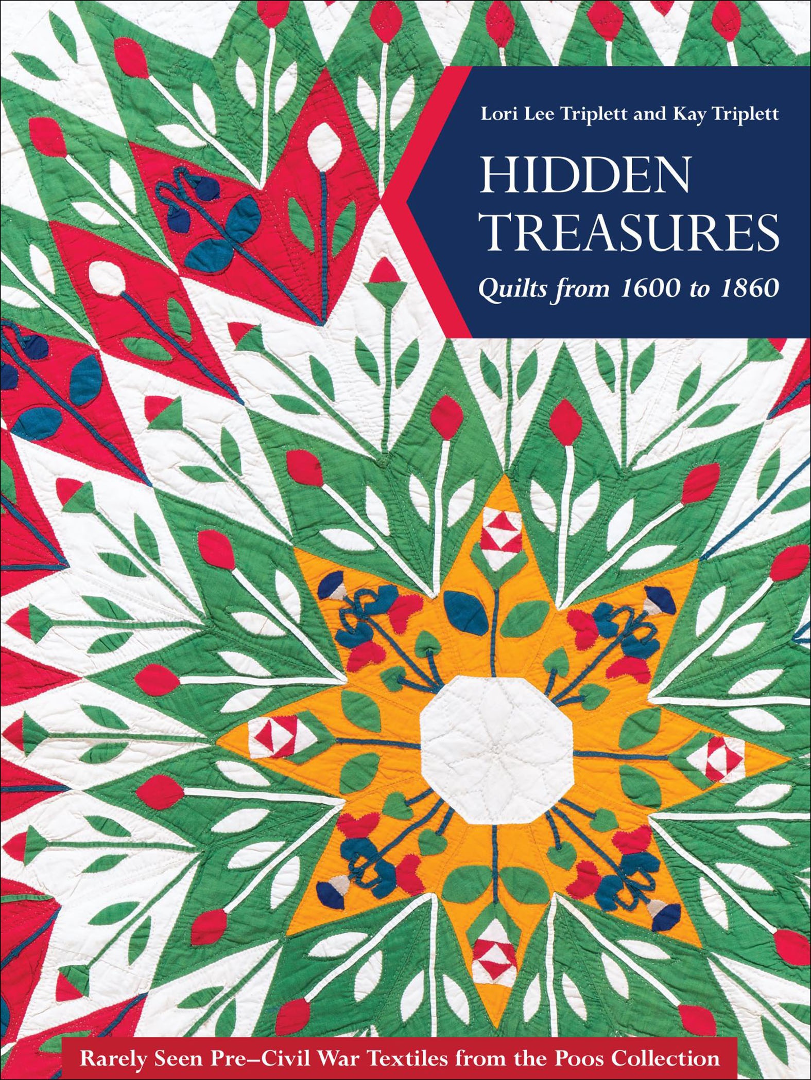 This image is the cover for the book Hidden Treasures