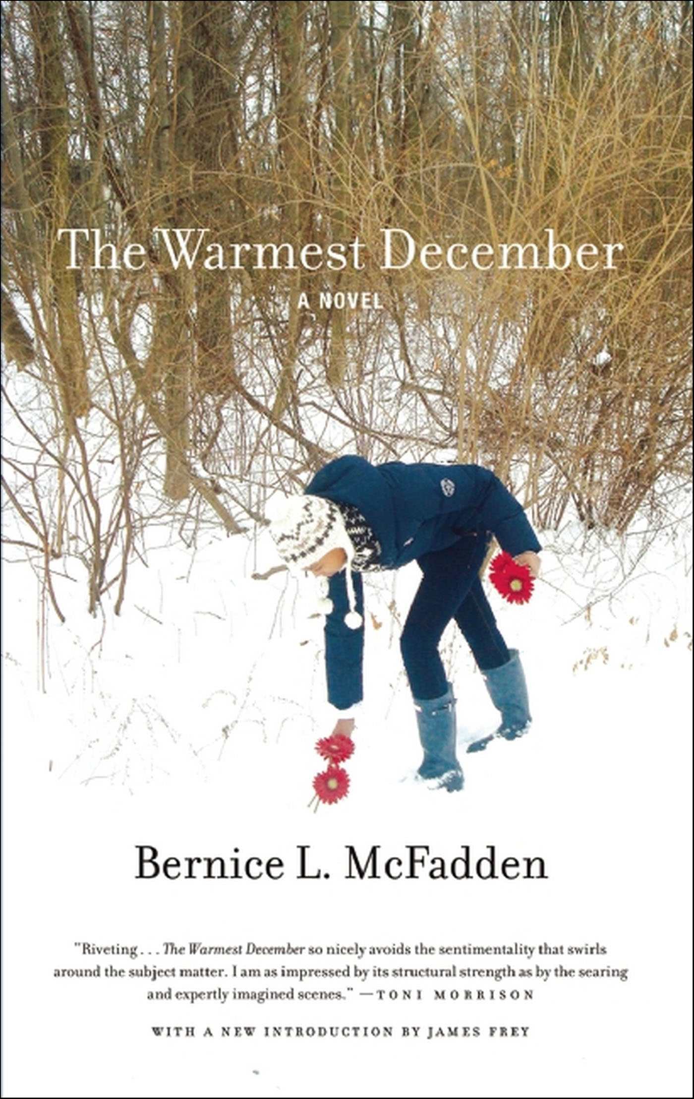 This image is the cover for the book Warmest December