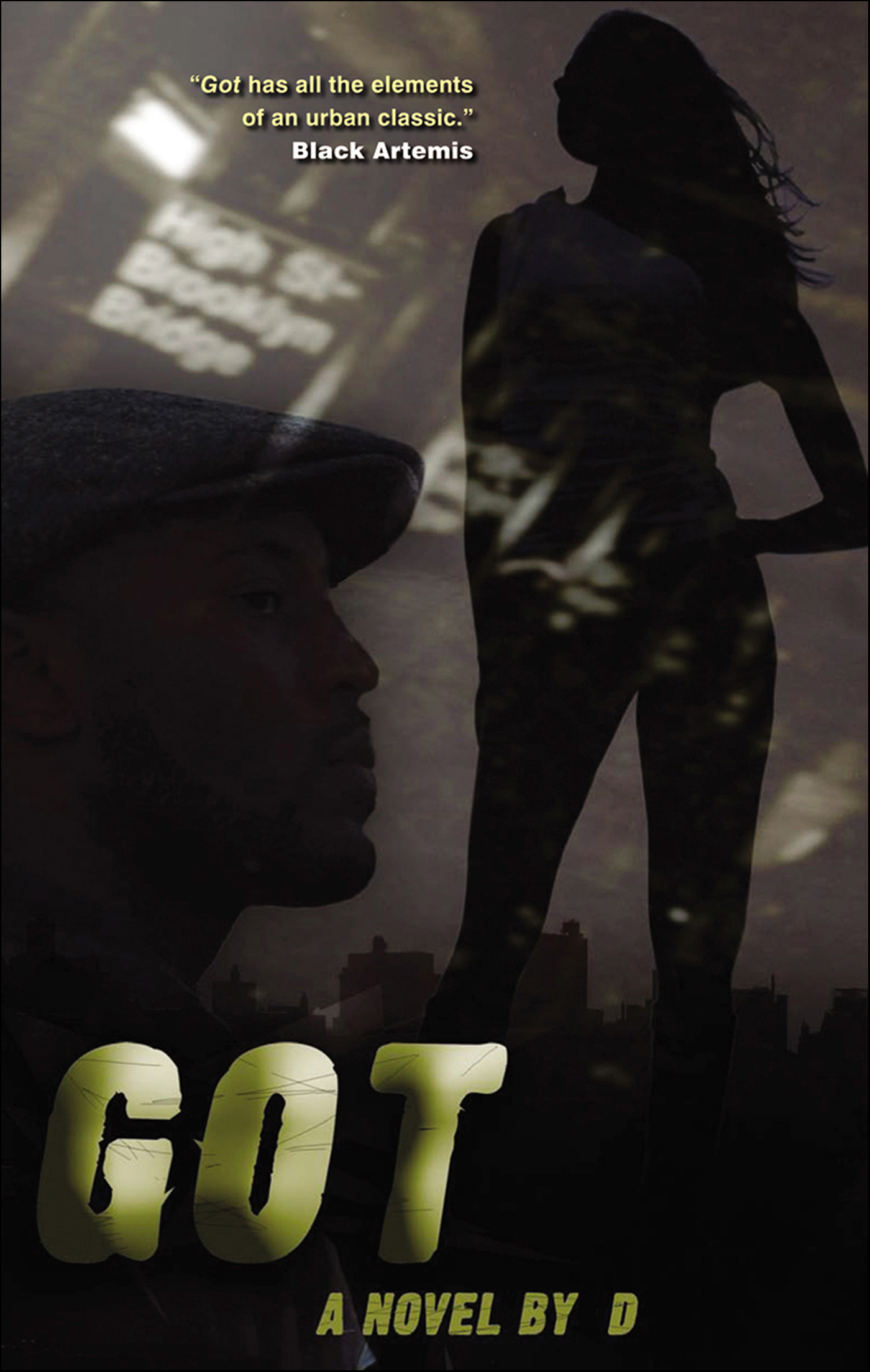 This image is the cover for the book Got