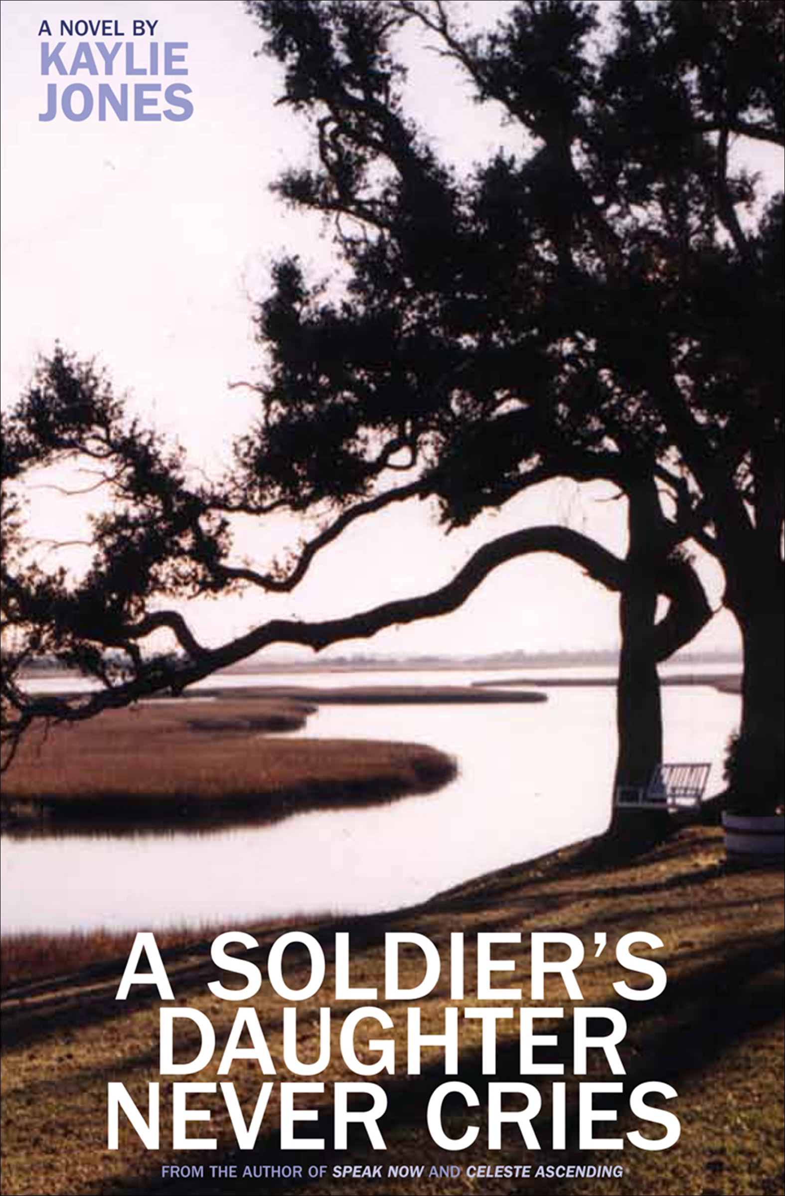 This image is the cover for the book Soldier's Daughter Never Cries