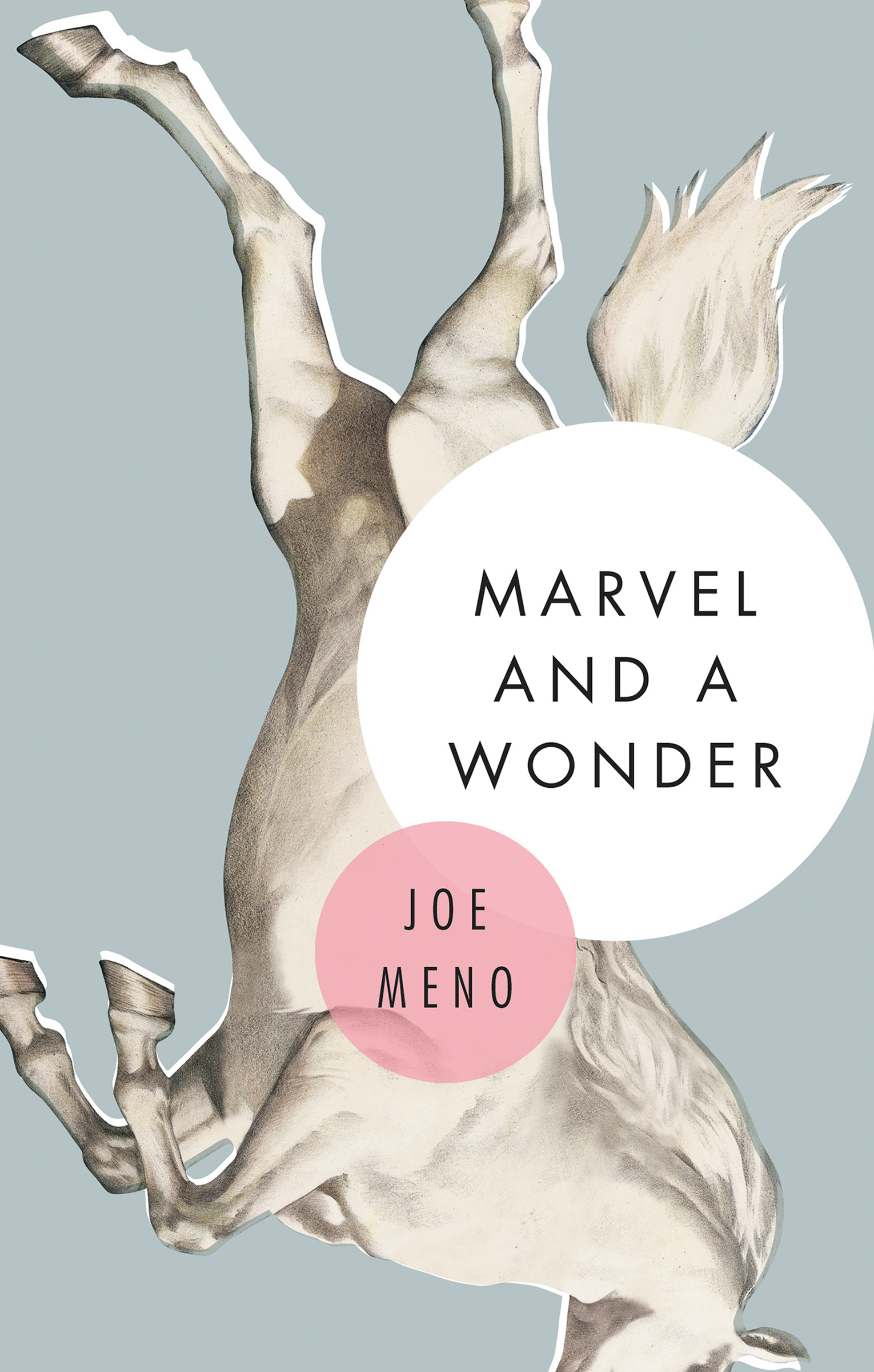 This image is the cover for the book Marvel and a Wonder