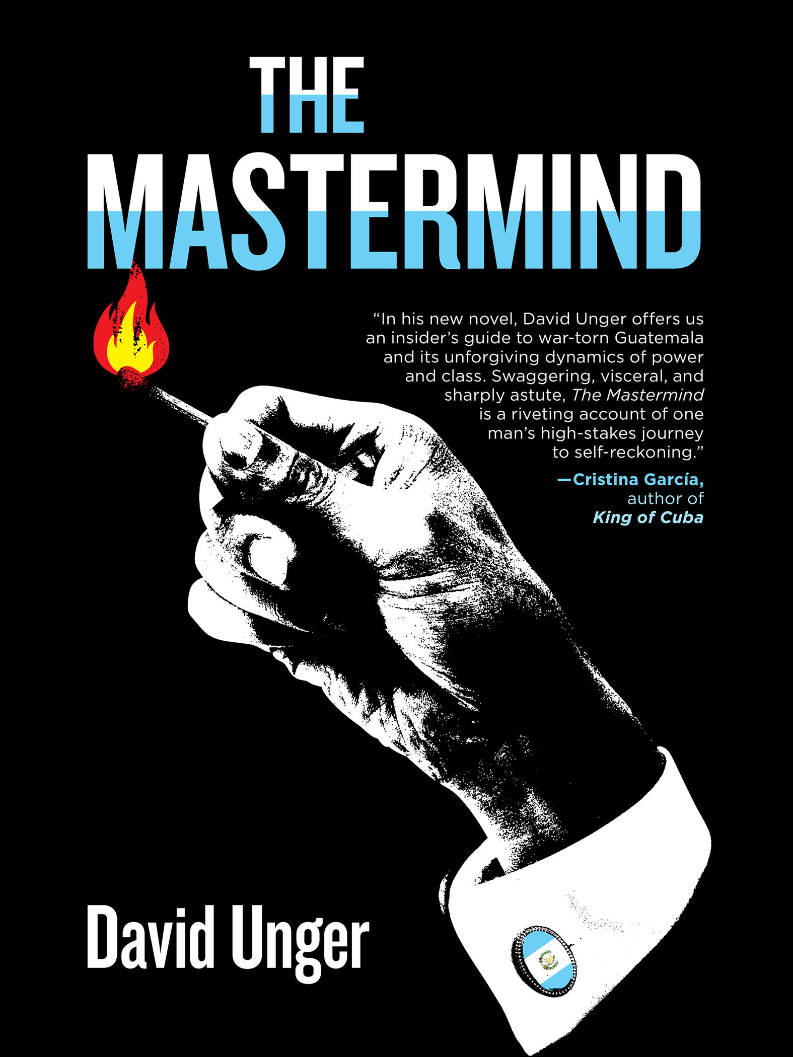 This image is the cover for the book Mastermind