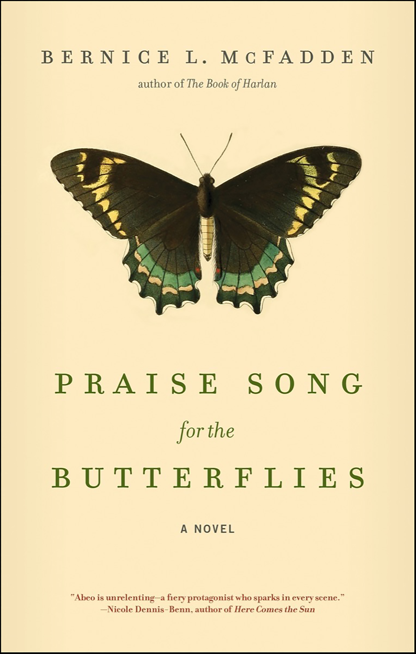 This image is the cover for the book Praise Song for the Butterflies
