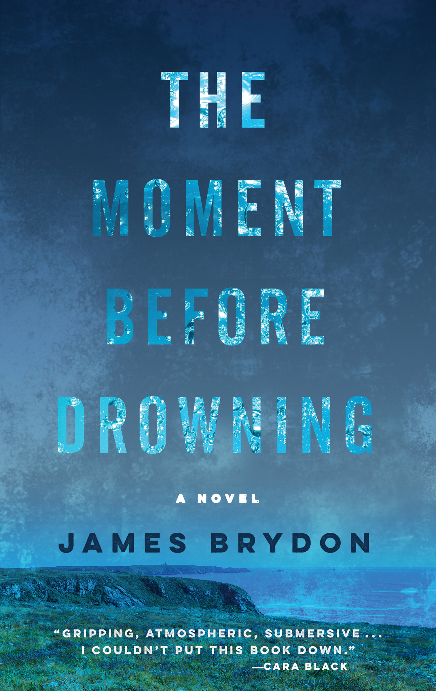 This image is the cover for the book Moment Before Drowning