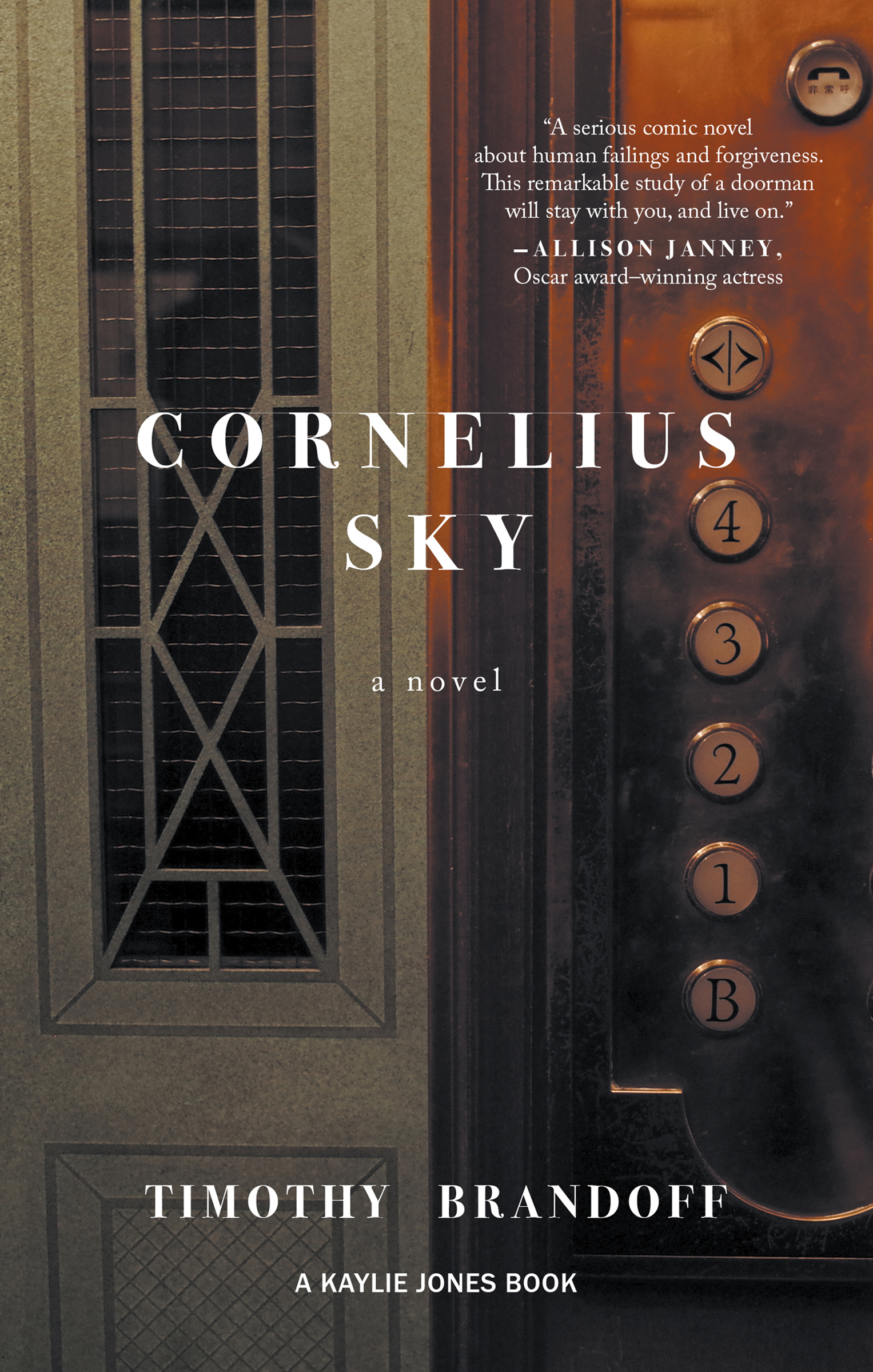 This image is the cover for the book Cornelius Sky
