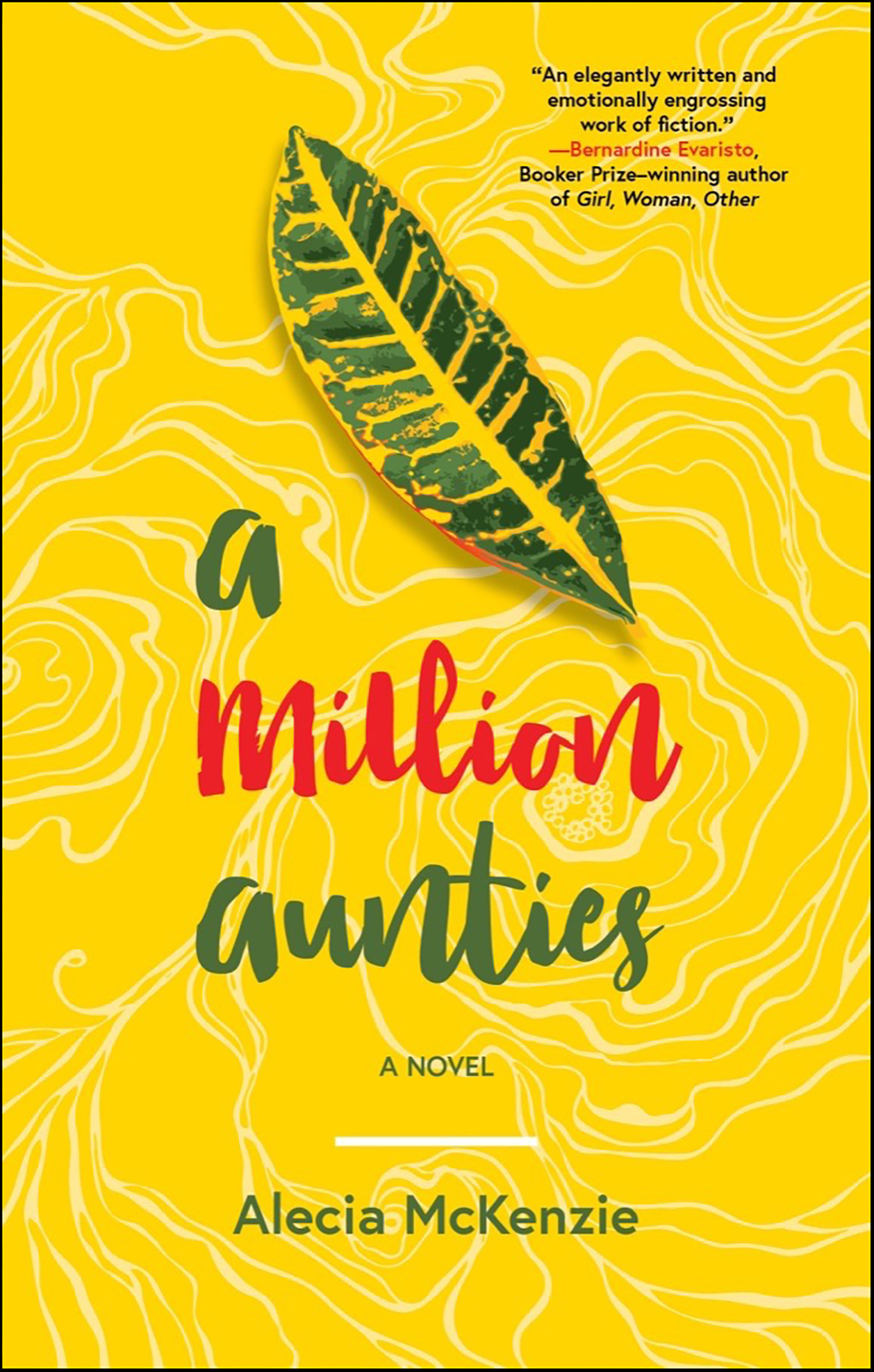 This image is the cover for the book Million Aunties
