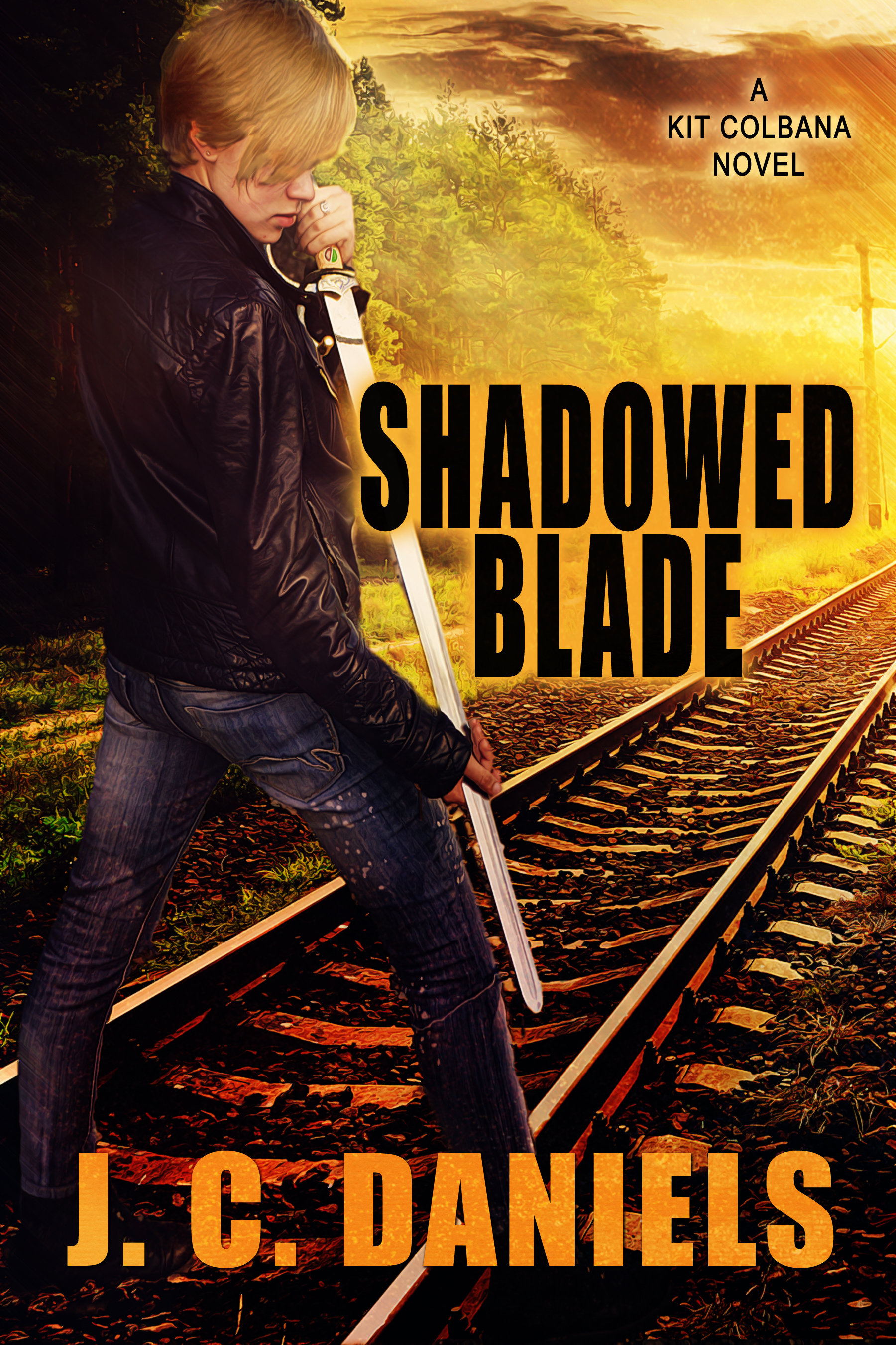 This image is the cover for the book Shadowed Blade, Colbana Files