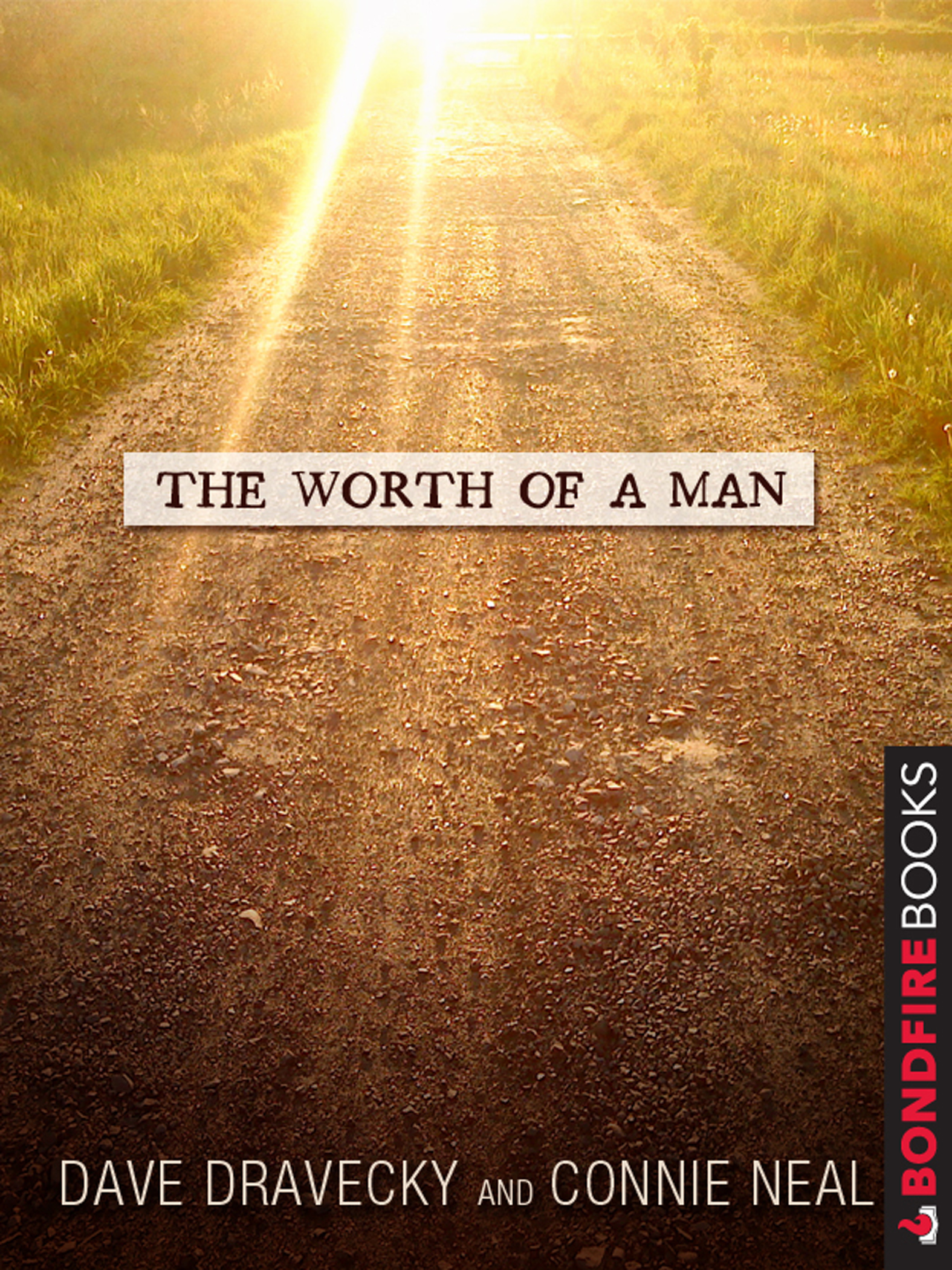 This image is the cover for the book Worth of a Man