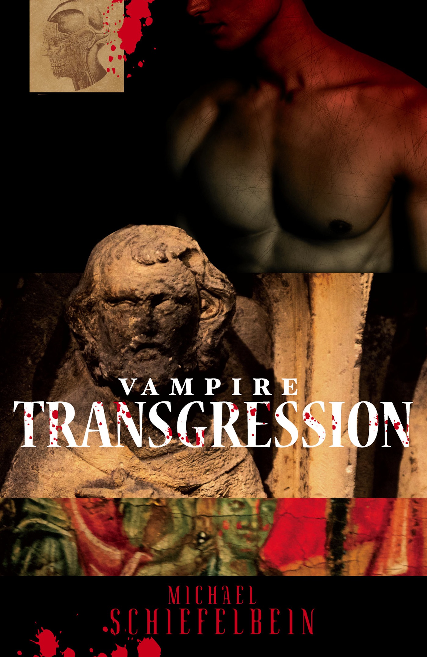 This image is the cover for the book Vampire Transgression, Vampires