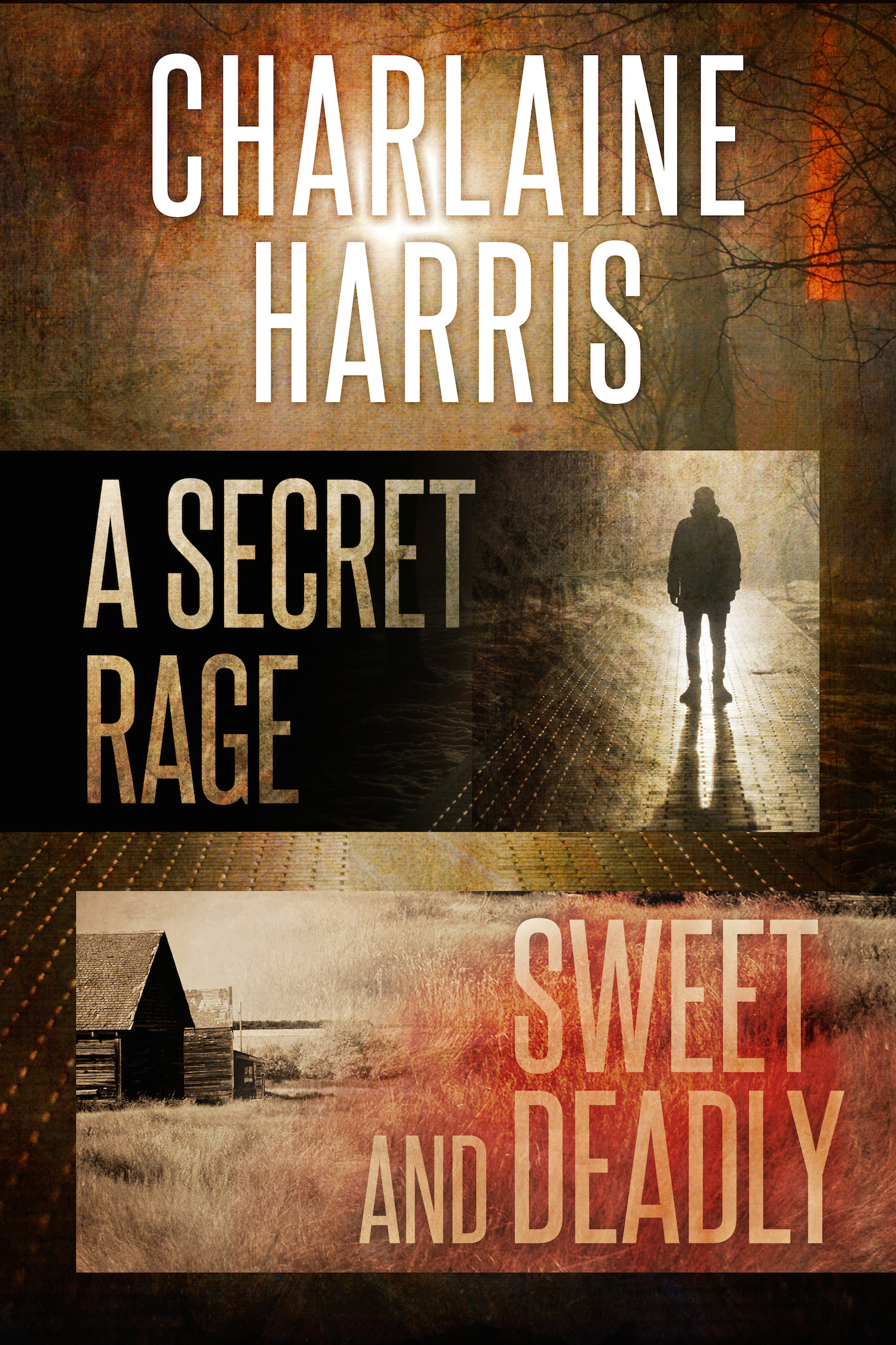This image is the cover for the book A Secret Rage & Sweet and Deadly Omnibus