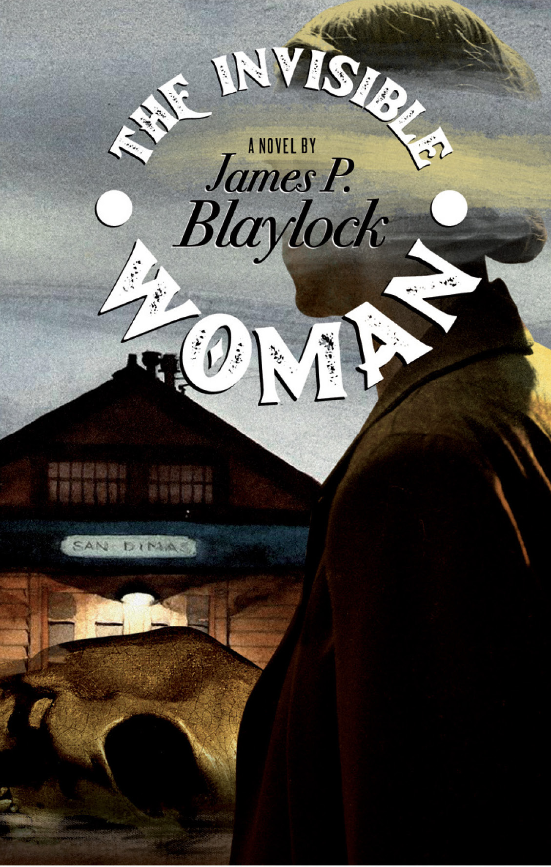 This image is the cover for the book The Invisible Woman