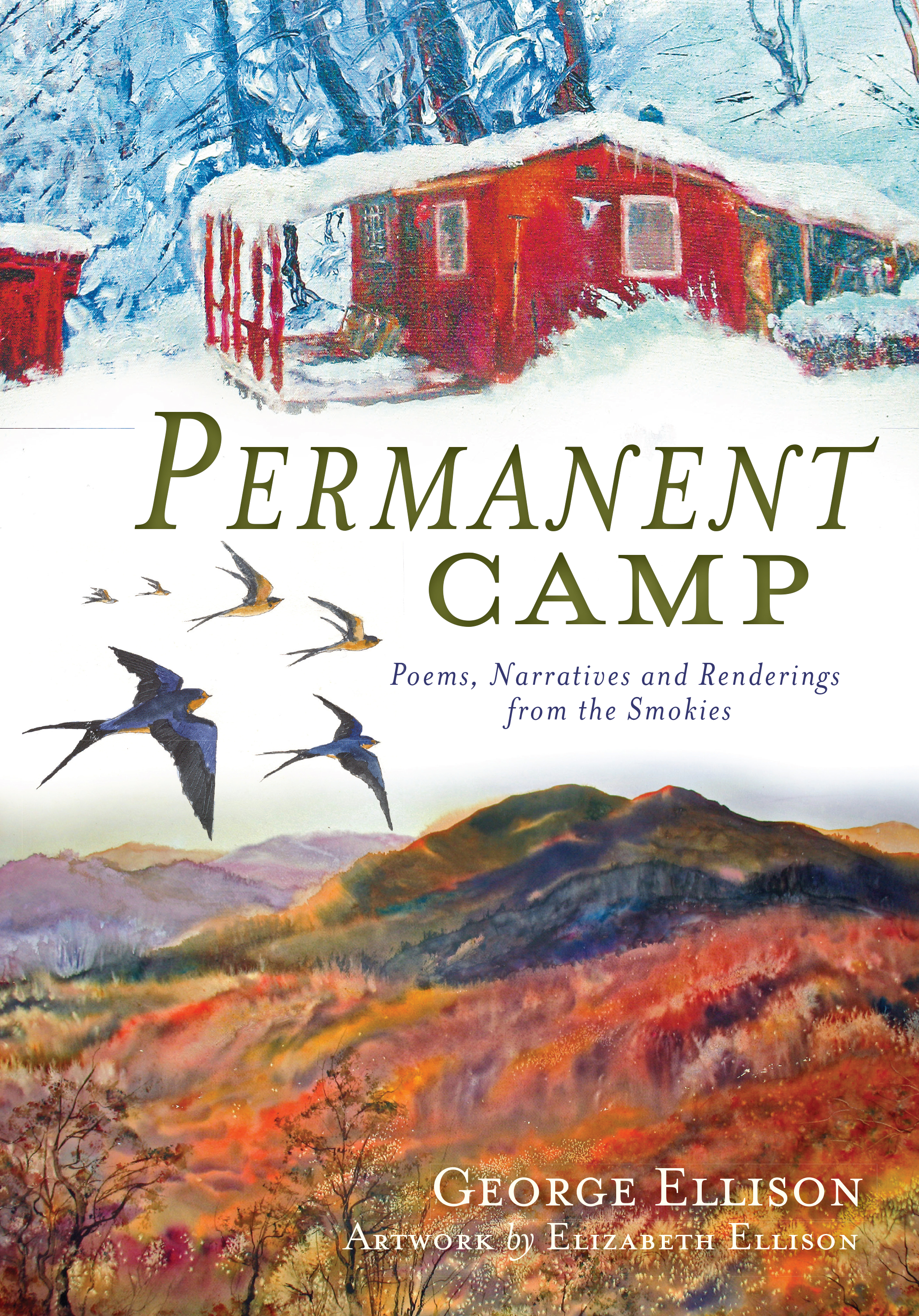 This image is the cover for the book Permanent Camp