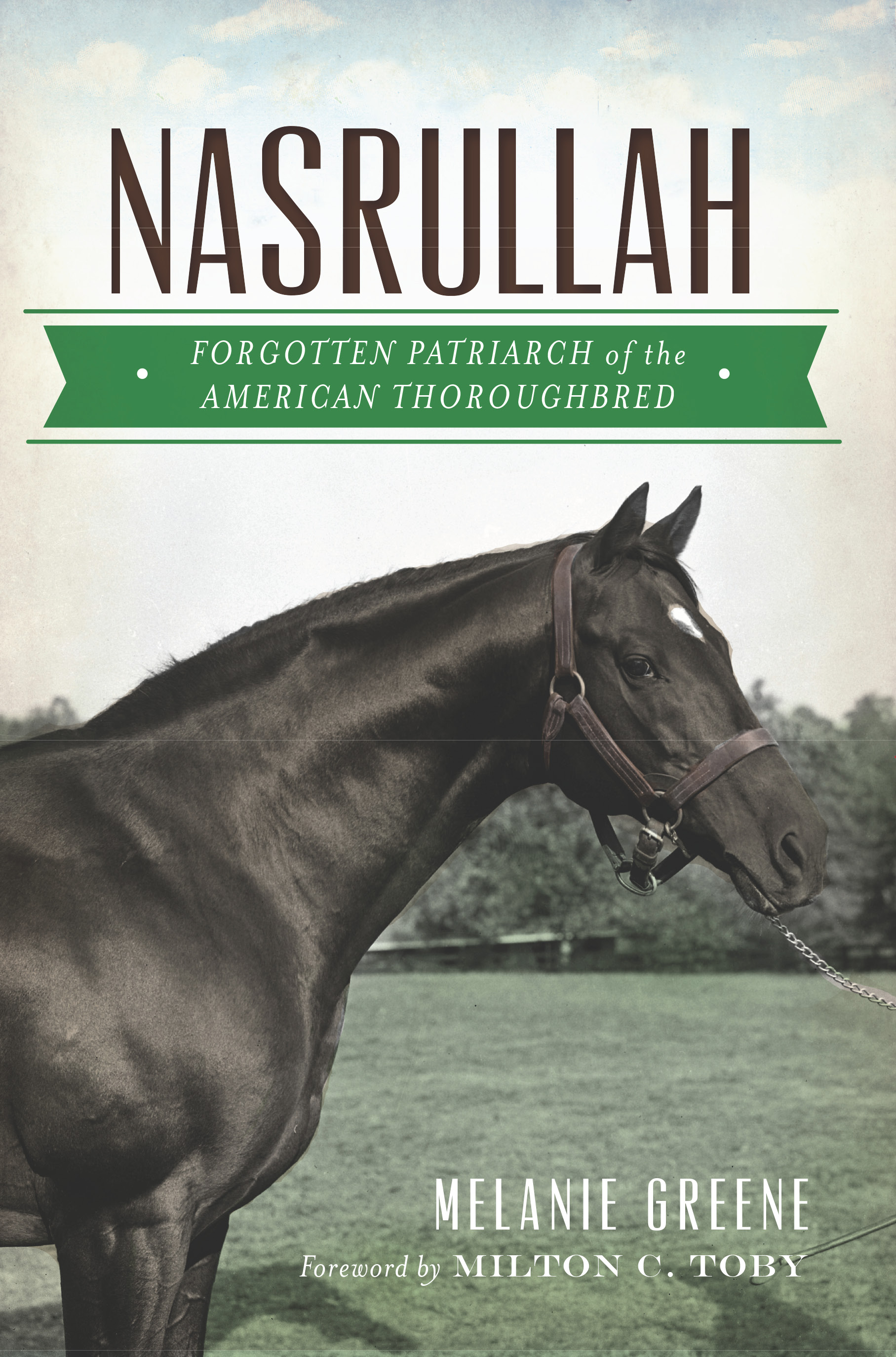 This image is the cover for the book Nasrullah, Sports