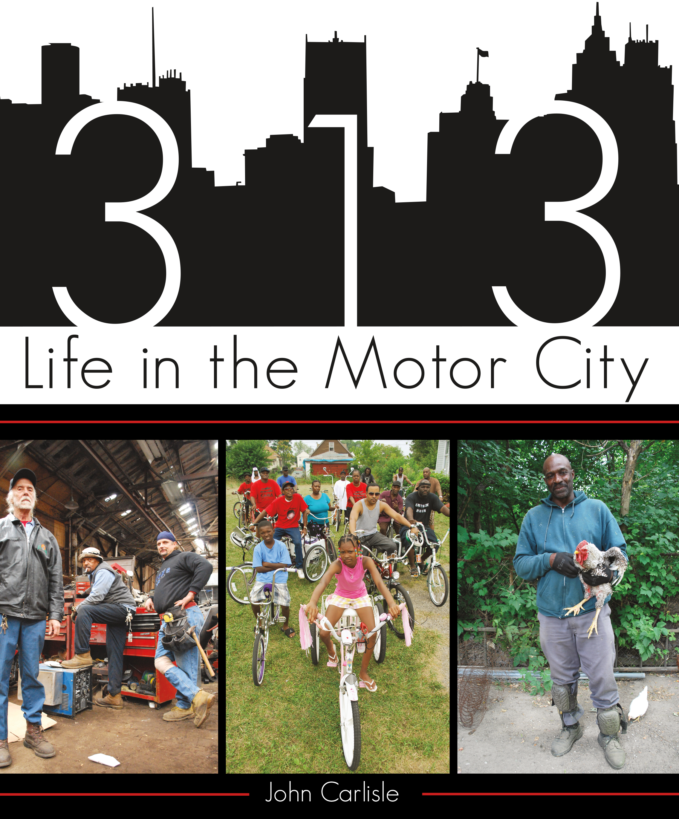This image is the cover for the book 313