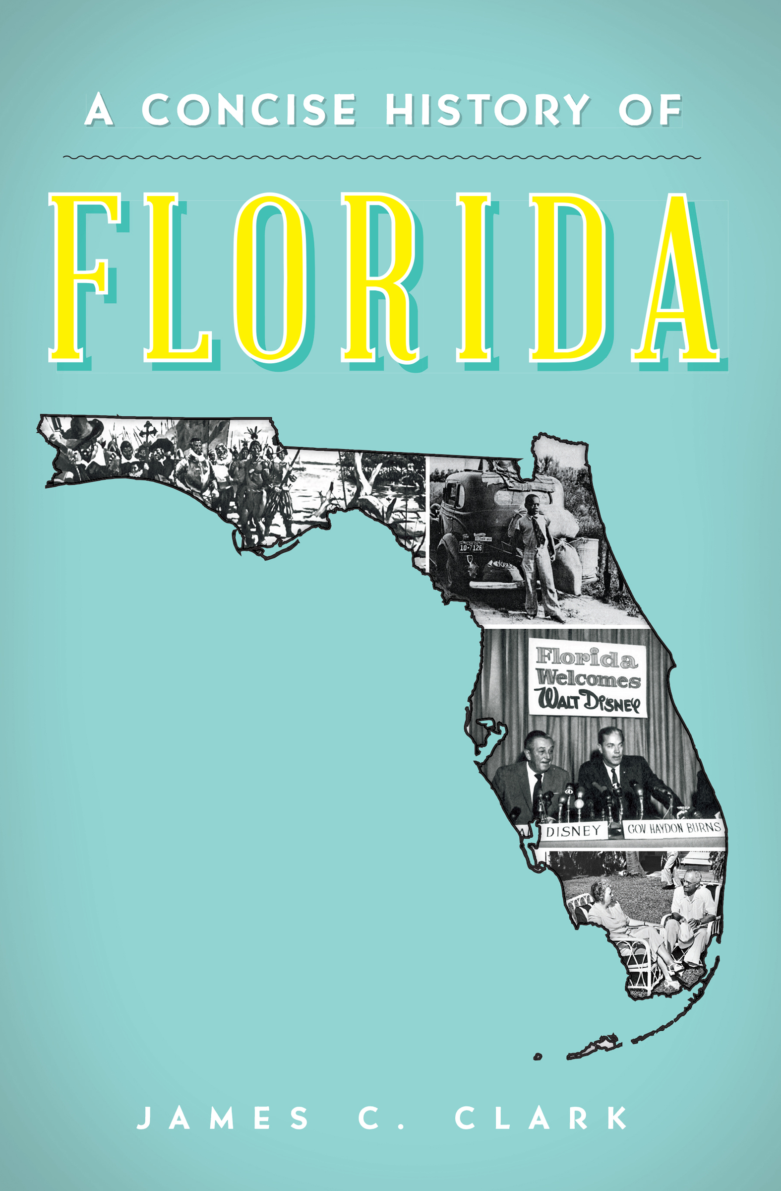 This image is the cover for the book Concise History of Florida
