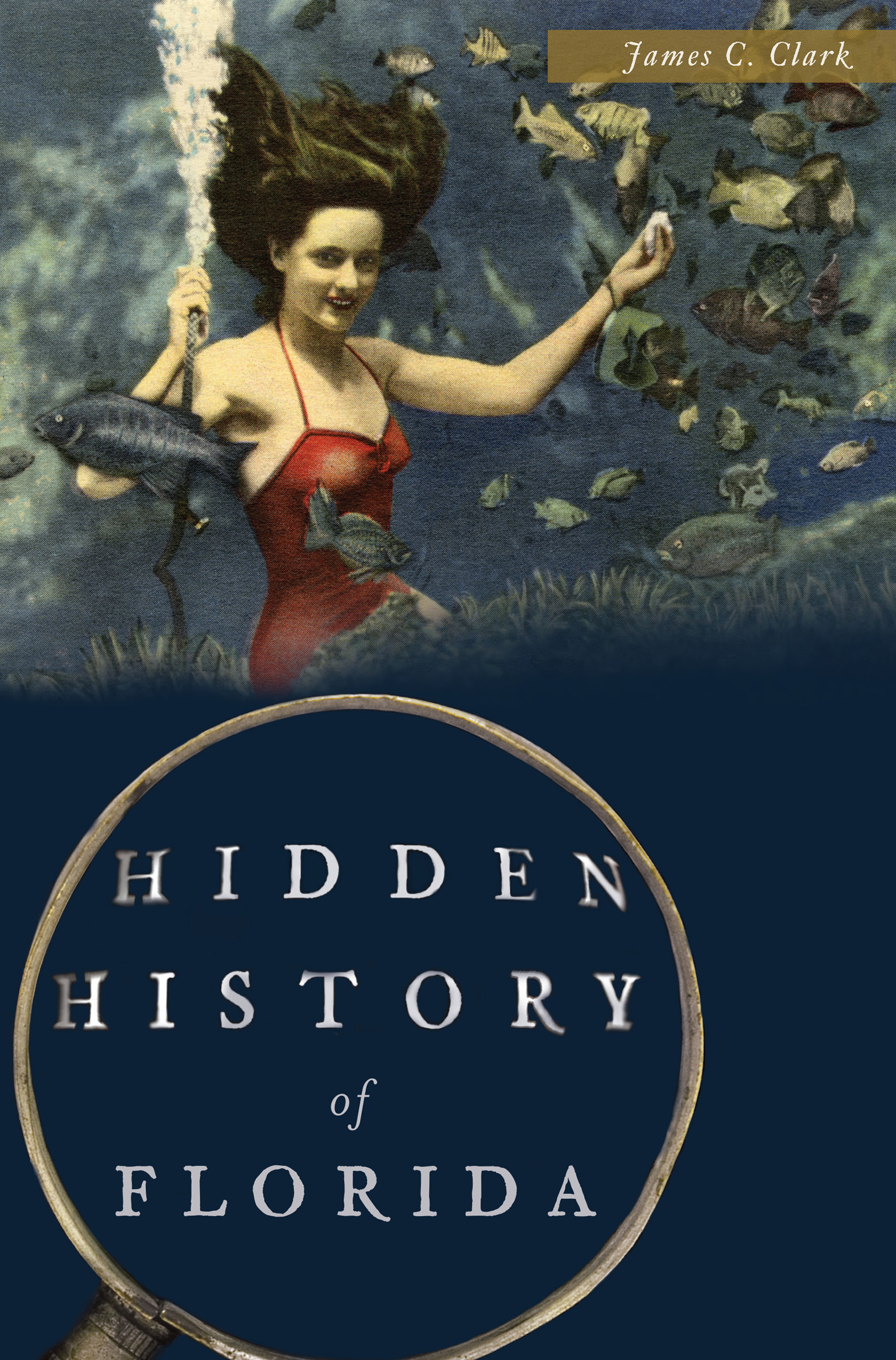This image is the cover for the book Hidden History of Florida, Hidden History