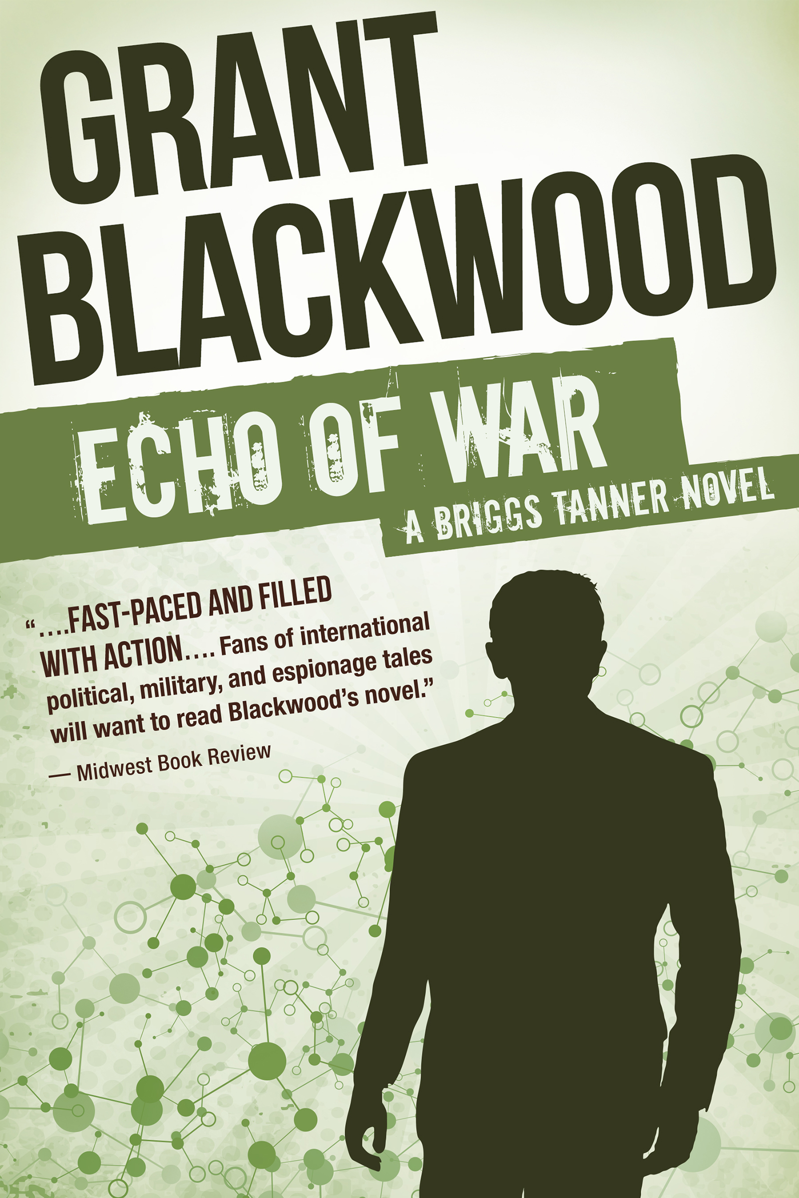 This image is the cover for the book Echo of War, The Briggs Tanner Novels