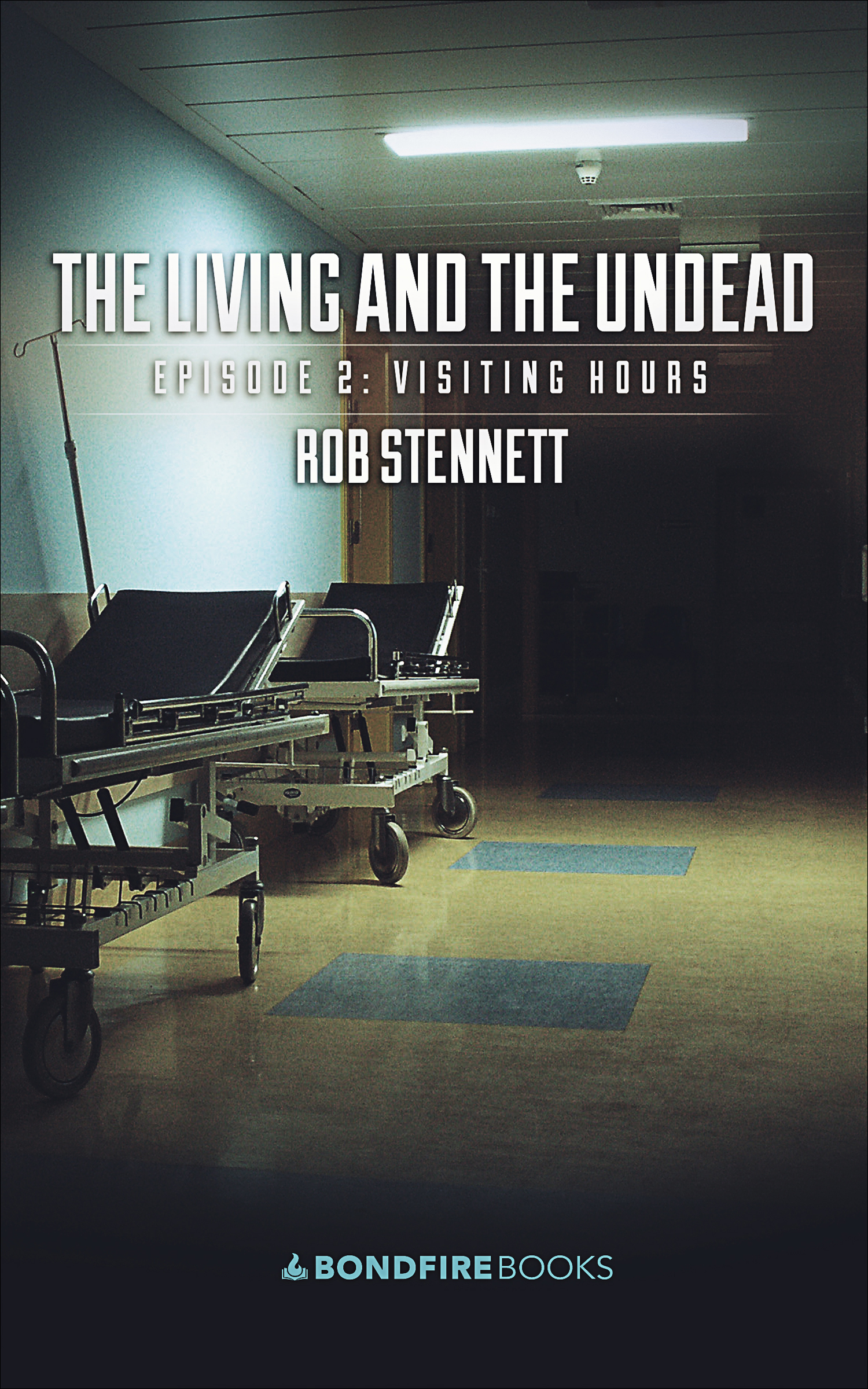 This image is the cover for the book Visiting Hours, The Living and the Undead