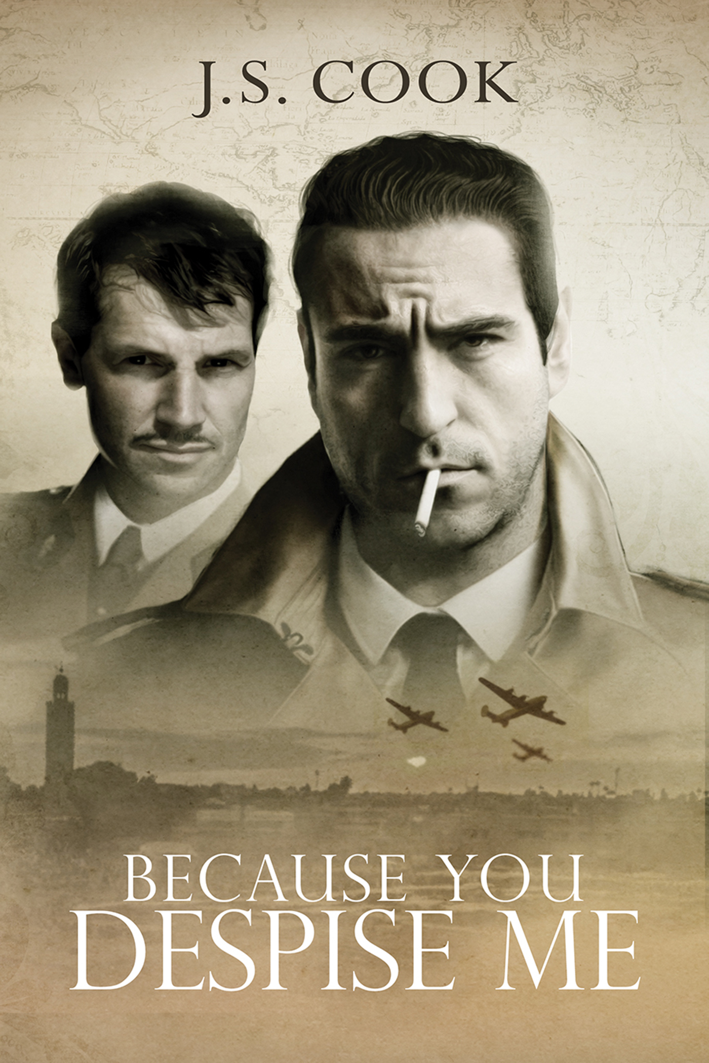 This image is the cover for the book Because You Despise Me